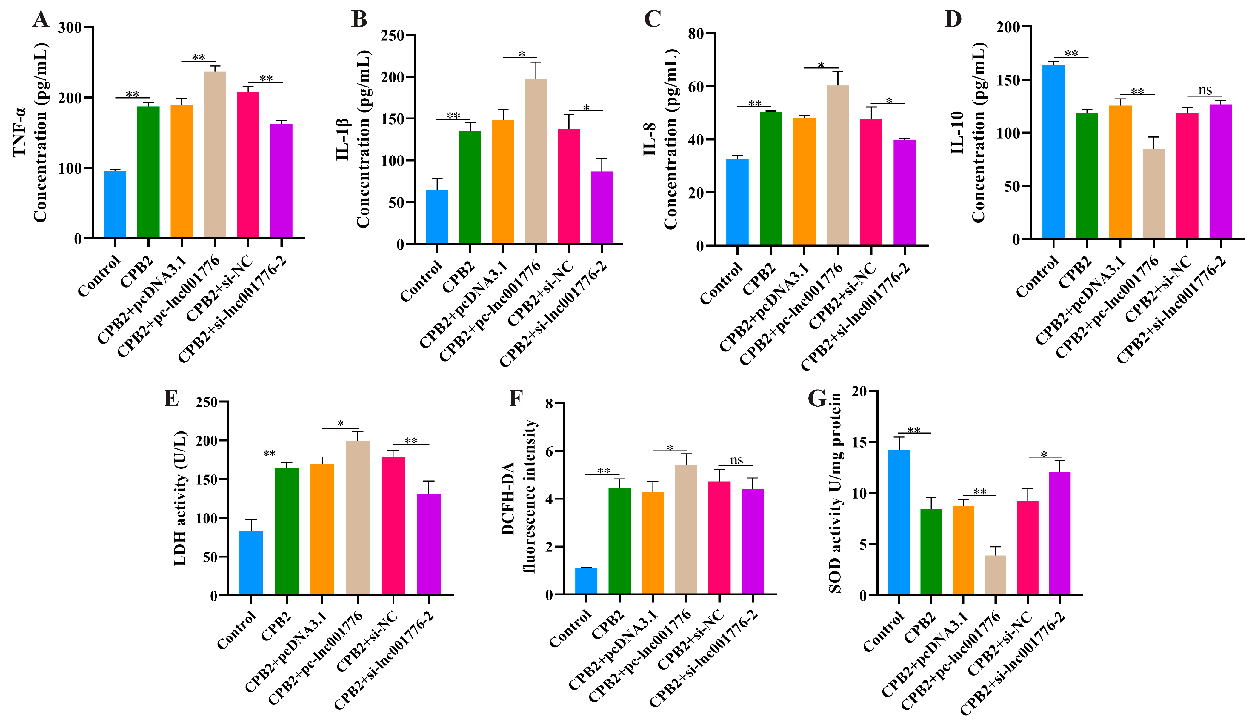 Cells 12 01036 g003 Cells 12 01036 g003