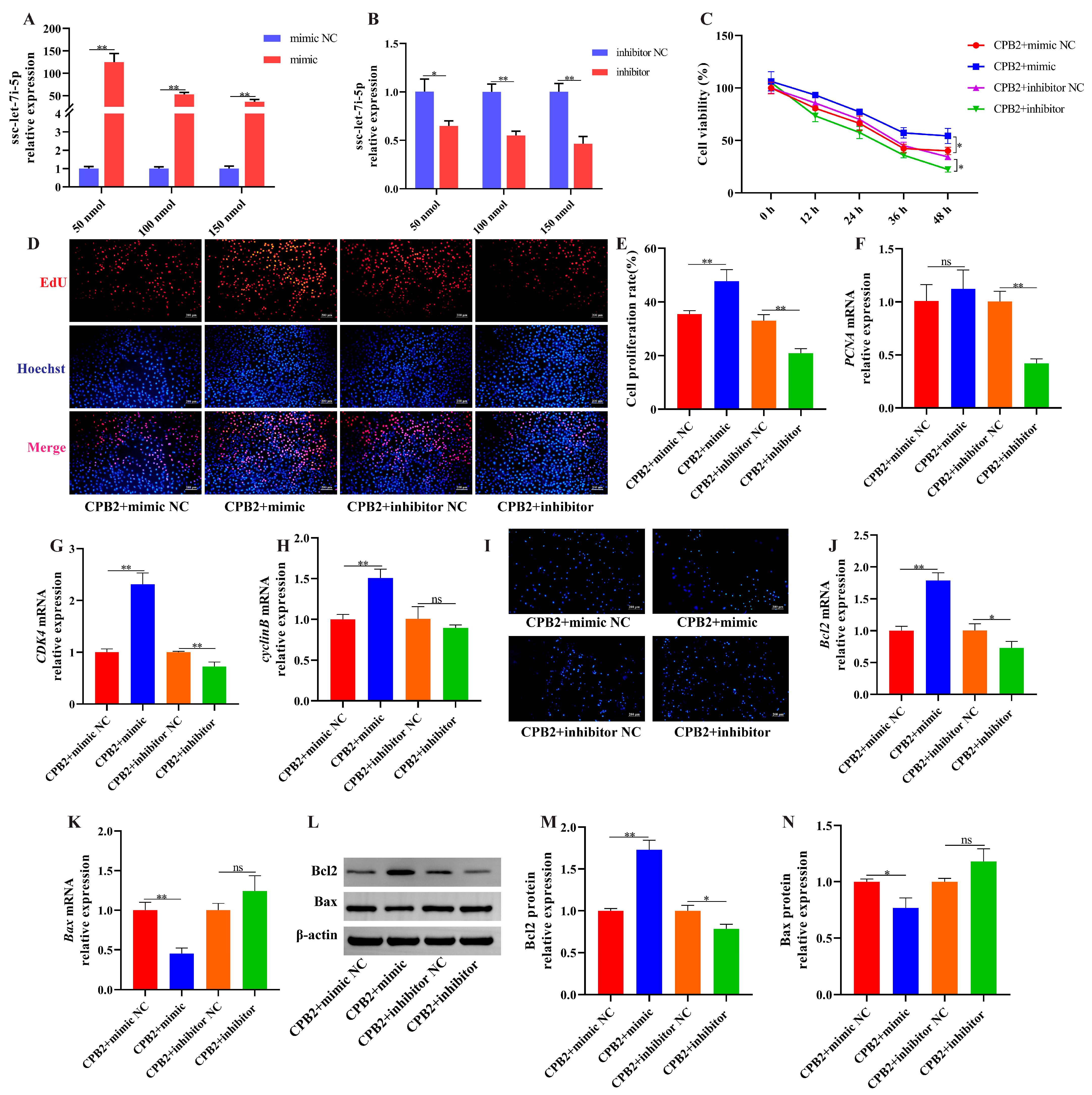 Cells 12 01036 g006 Cells 12 01036 g006
