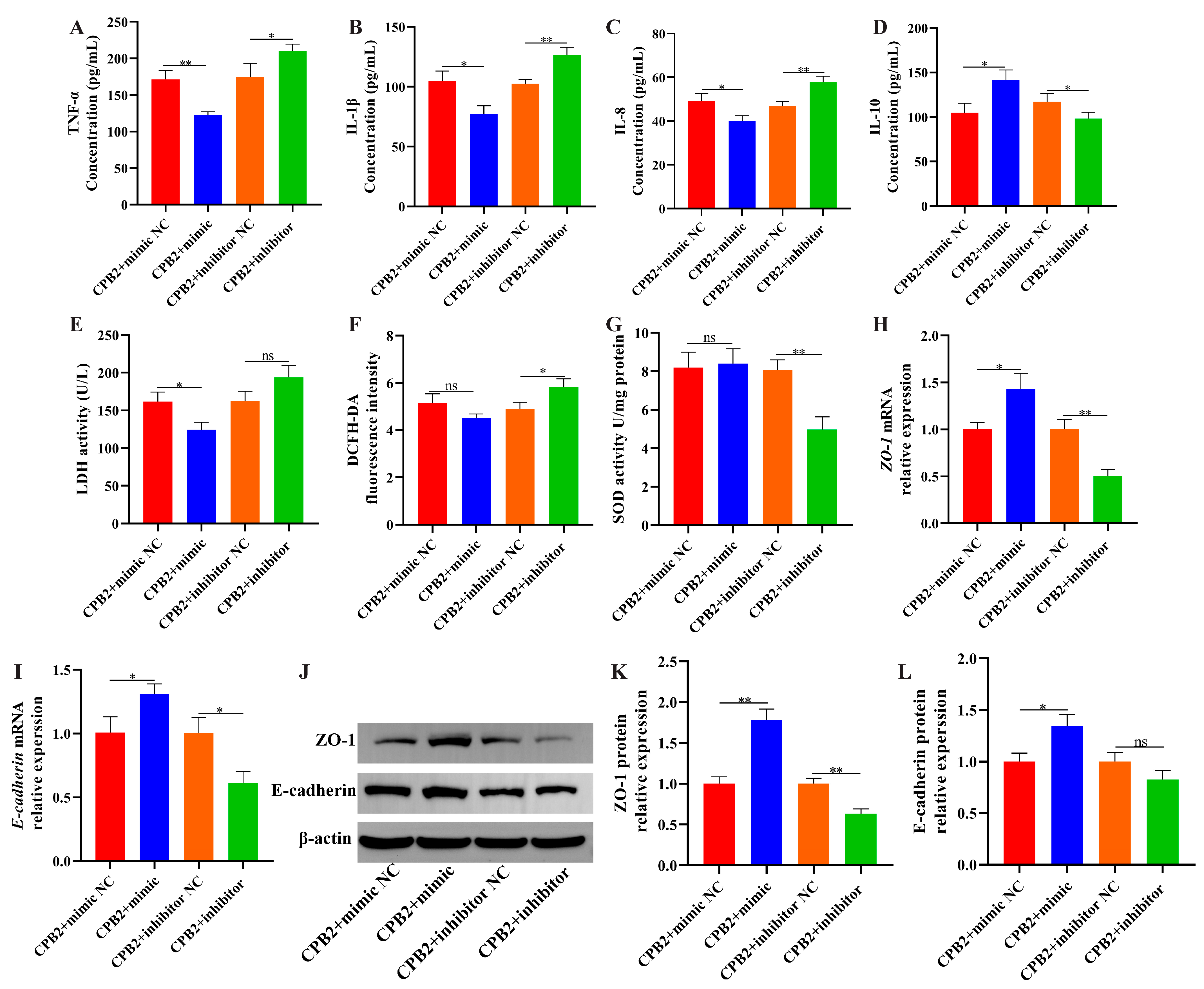 Cells 12 01036 g007 Cells 12 01036 g007