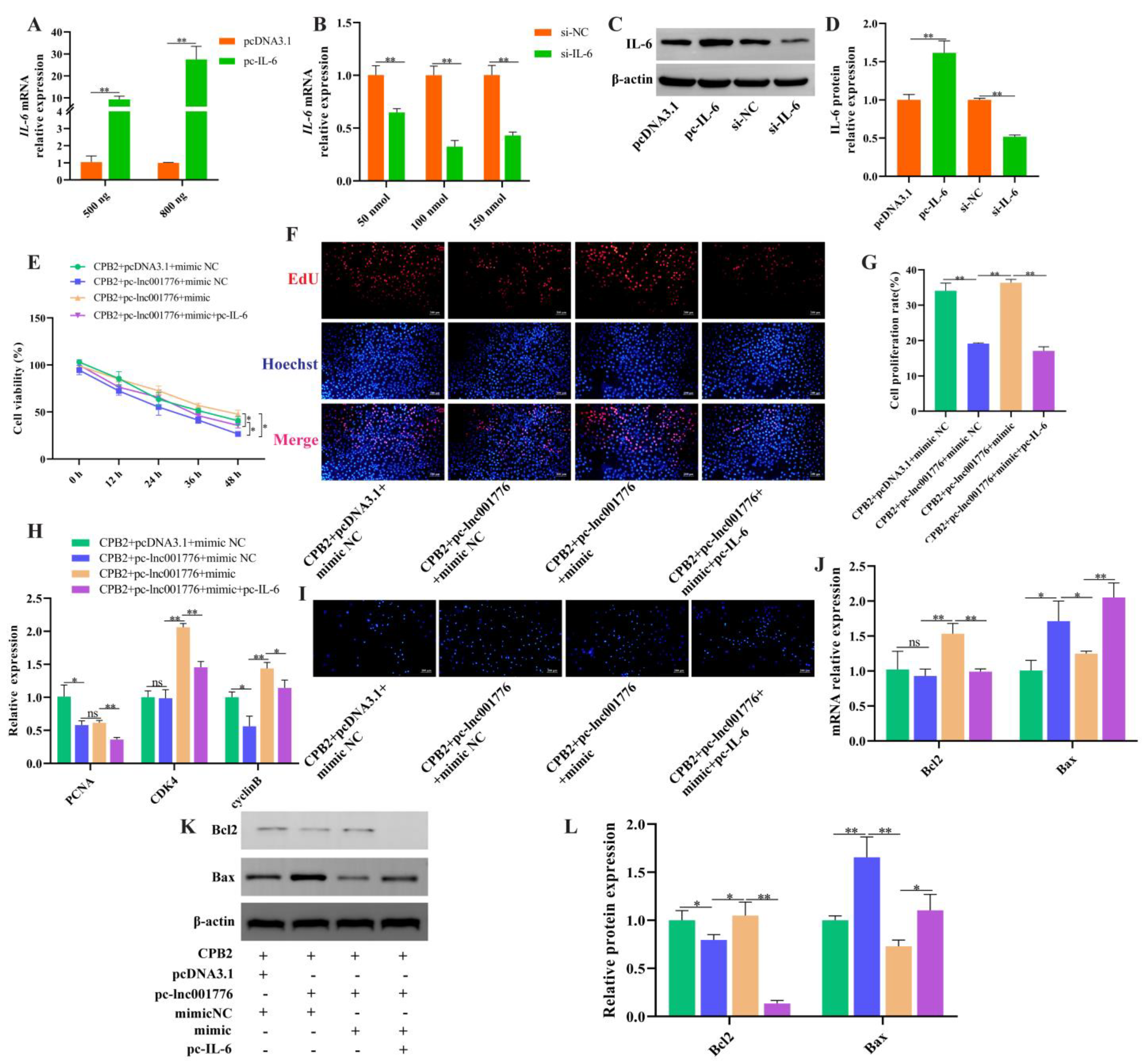 Cells 12 01036 g009 Cells 12 01036 g009