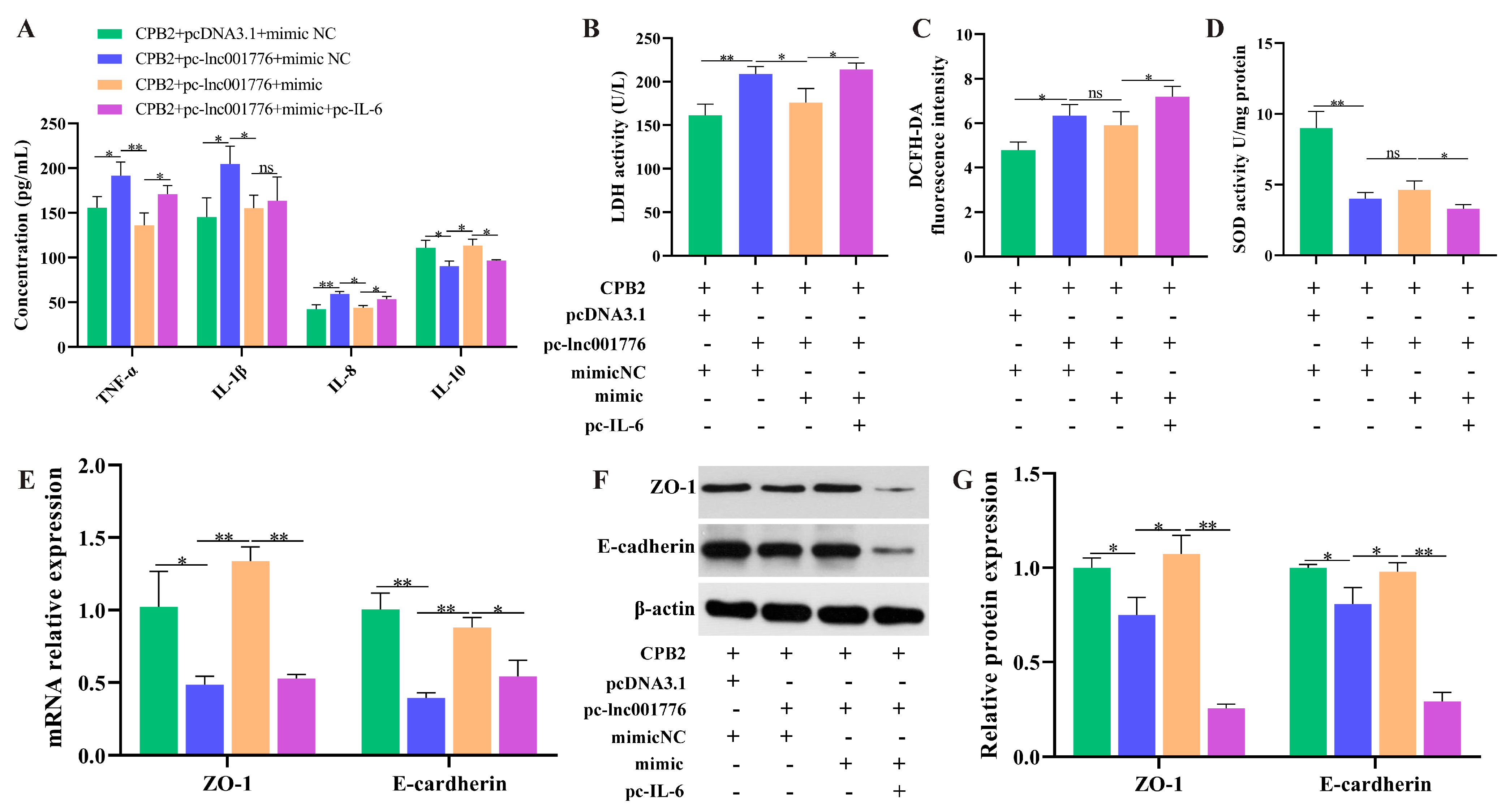 Cells 12 01036 g010 Cells 12 01036 g010