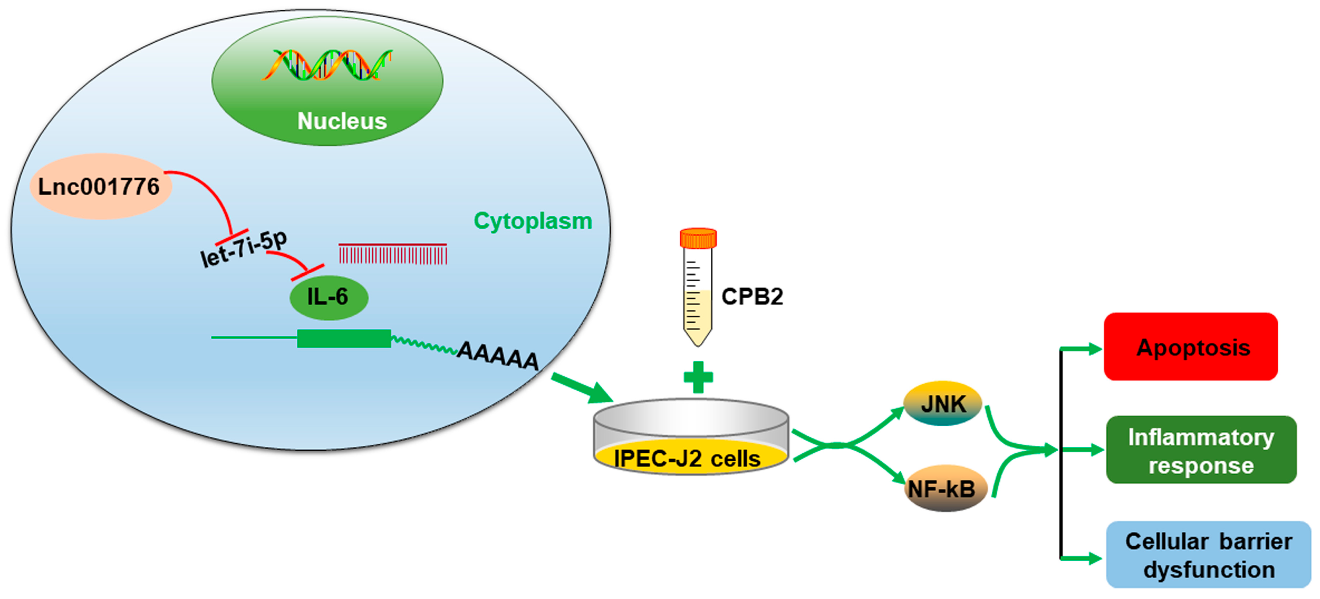 Cells 12 01036 g012 Cells 12 01036 g012