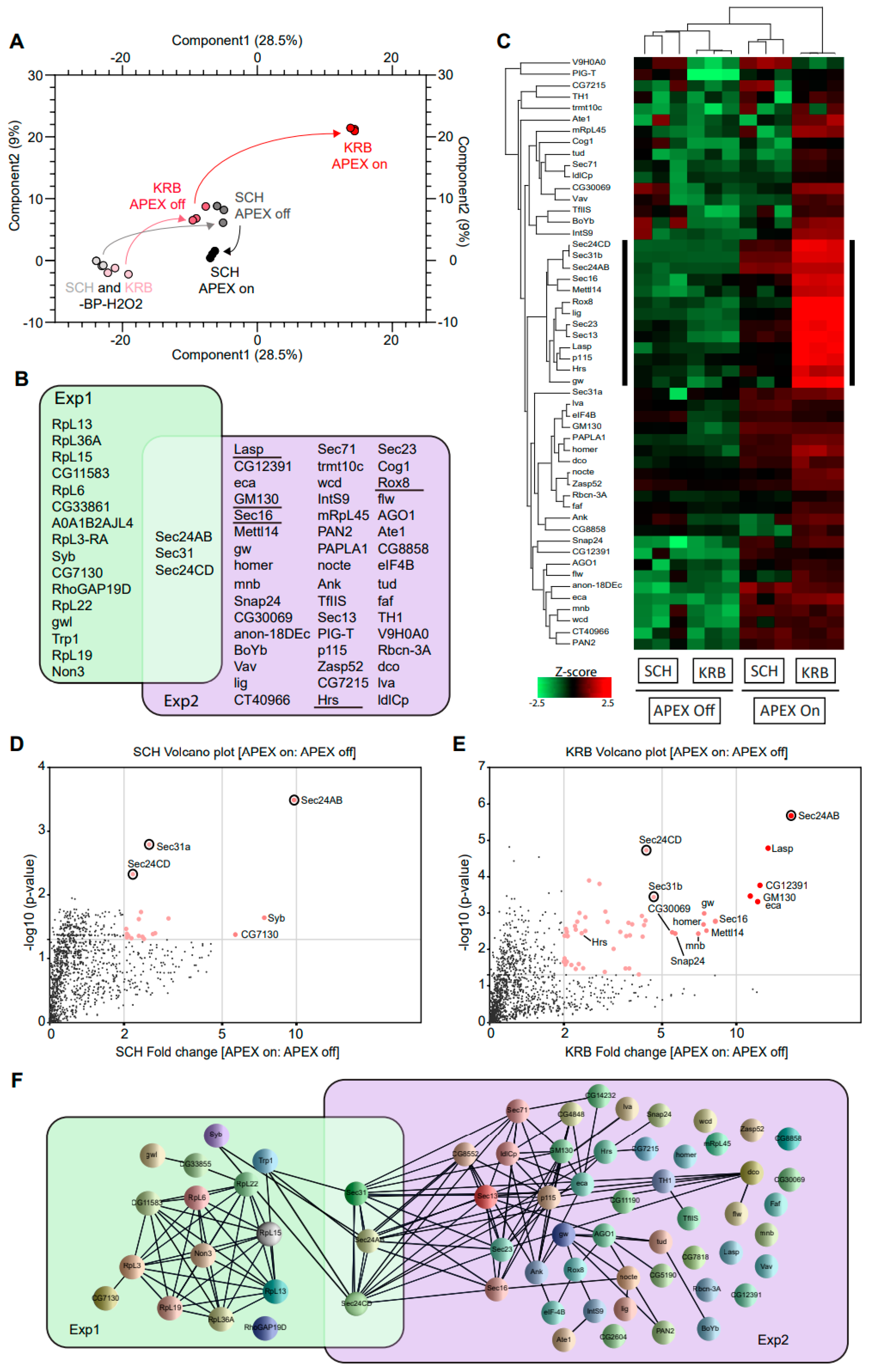 Cells 12 01055 g002 Cells 12 01055 g002