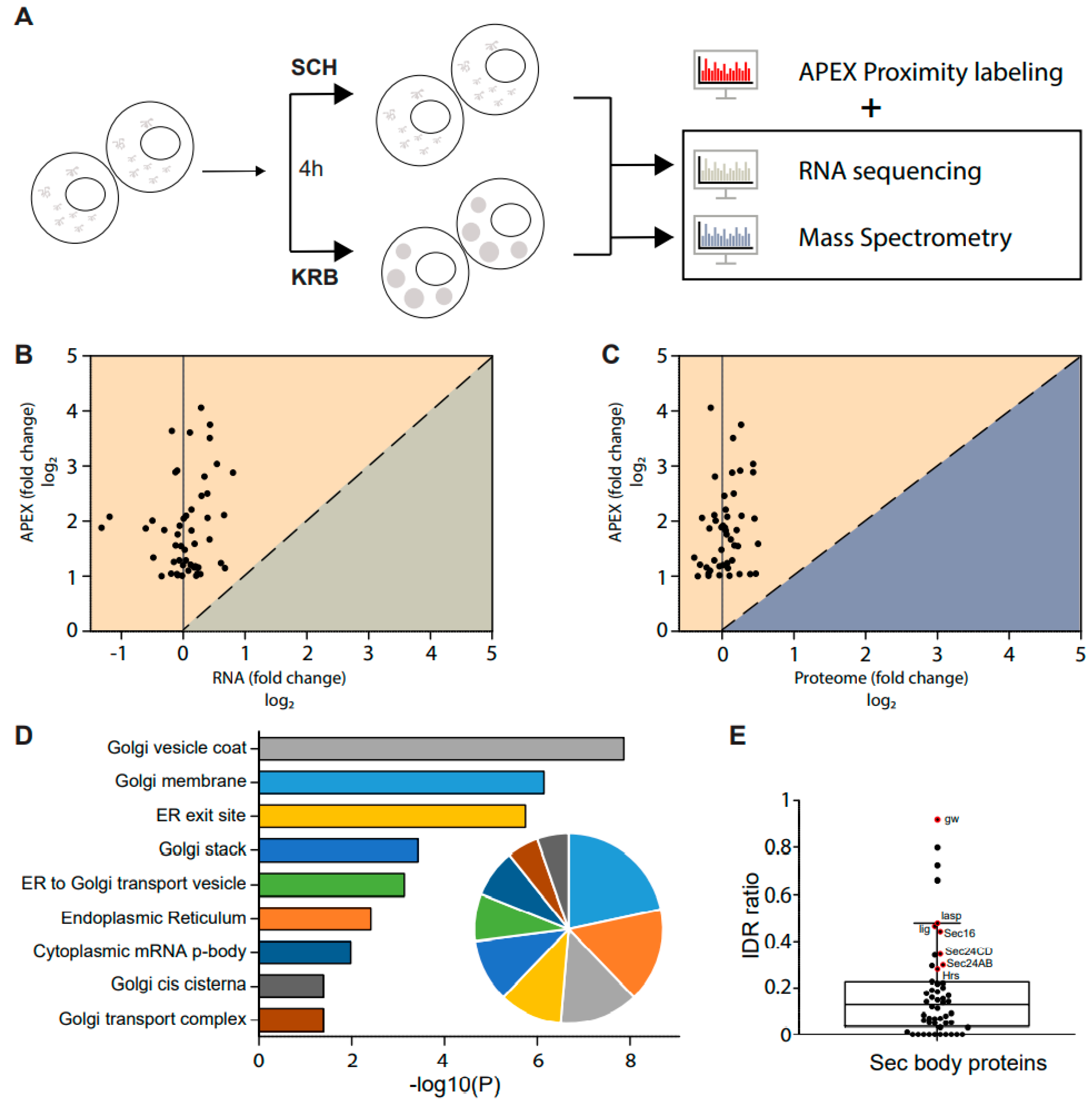 Cells 12 01055 g004 Cells 12 01055 g004