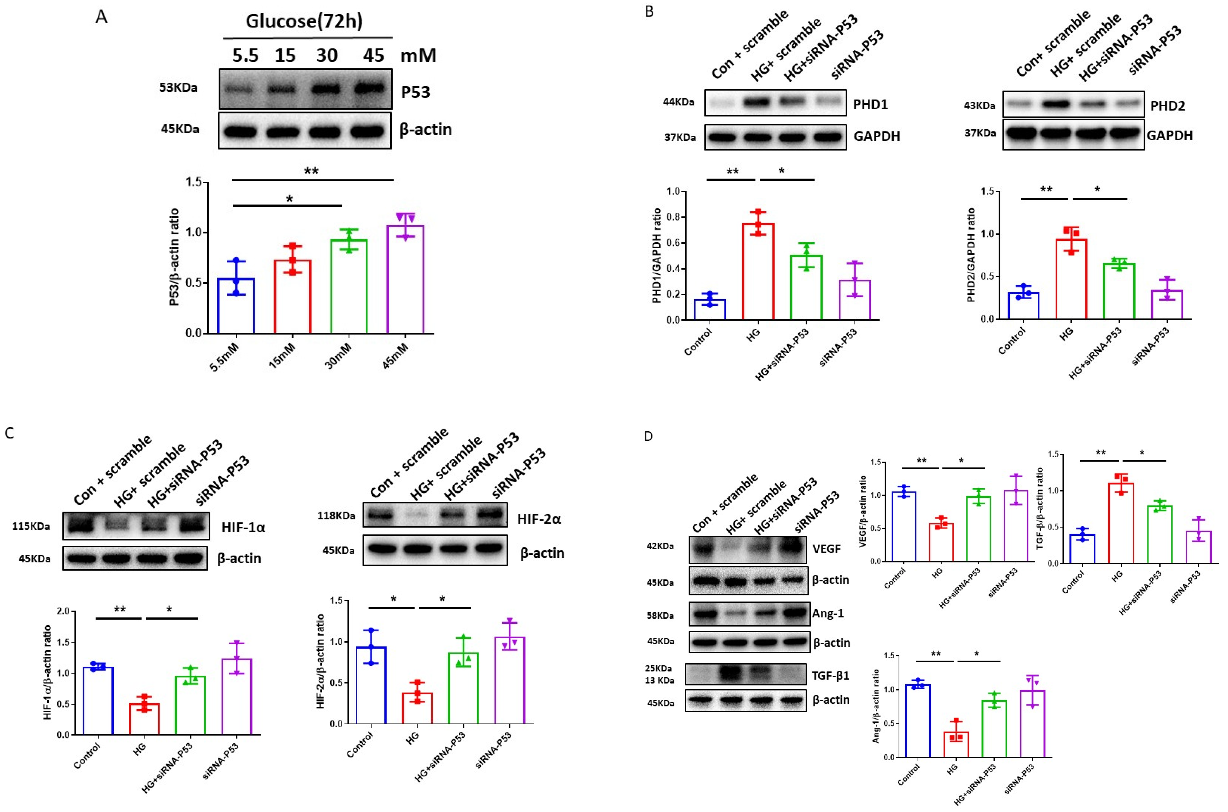 Cells 12 01060 g003a
