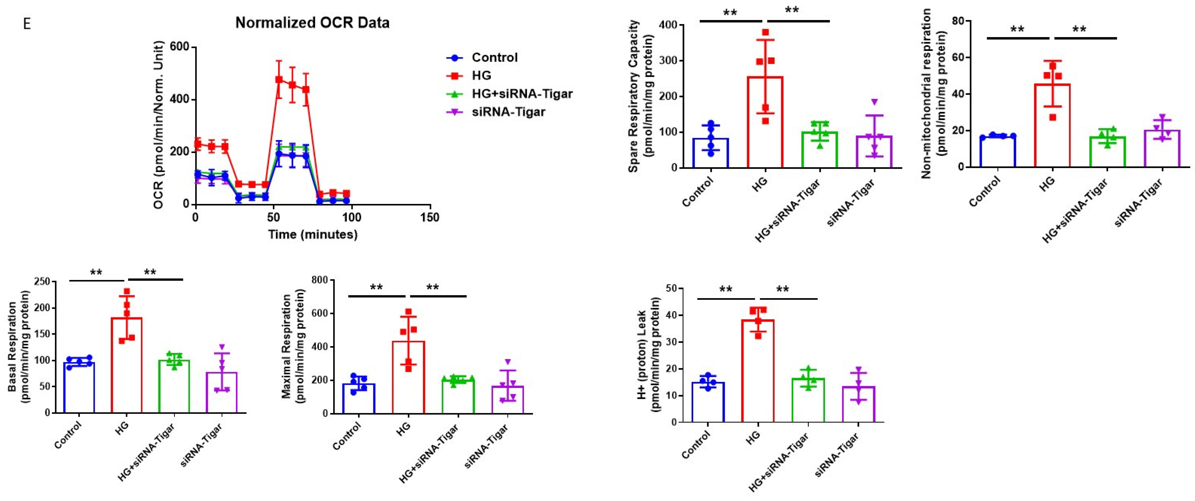 Cells 12 01060 g004c