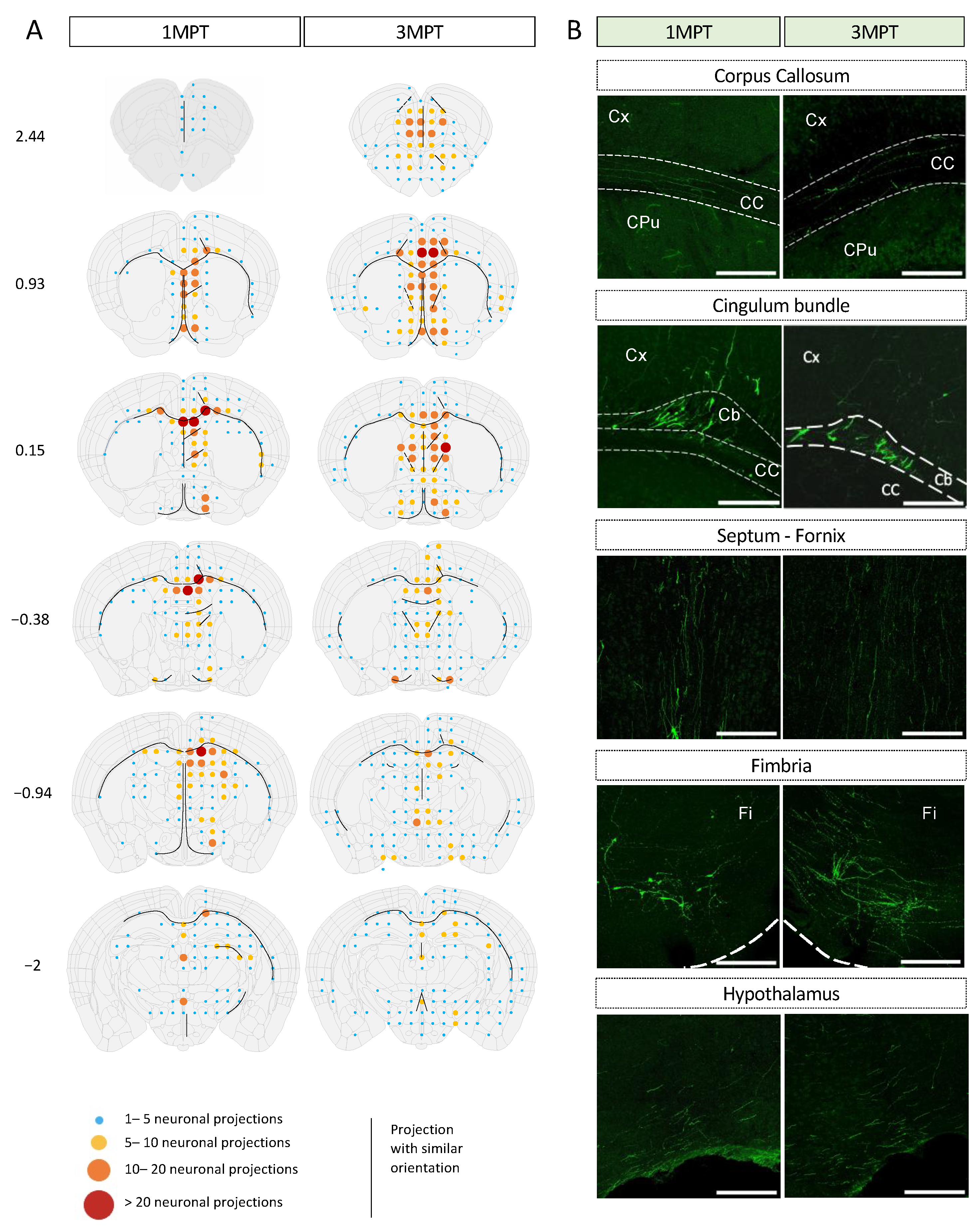 Cells 12 01067 g003 Cells 12 01067 g003
