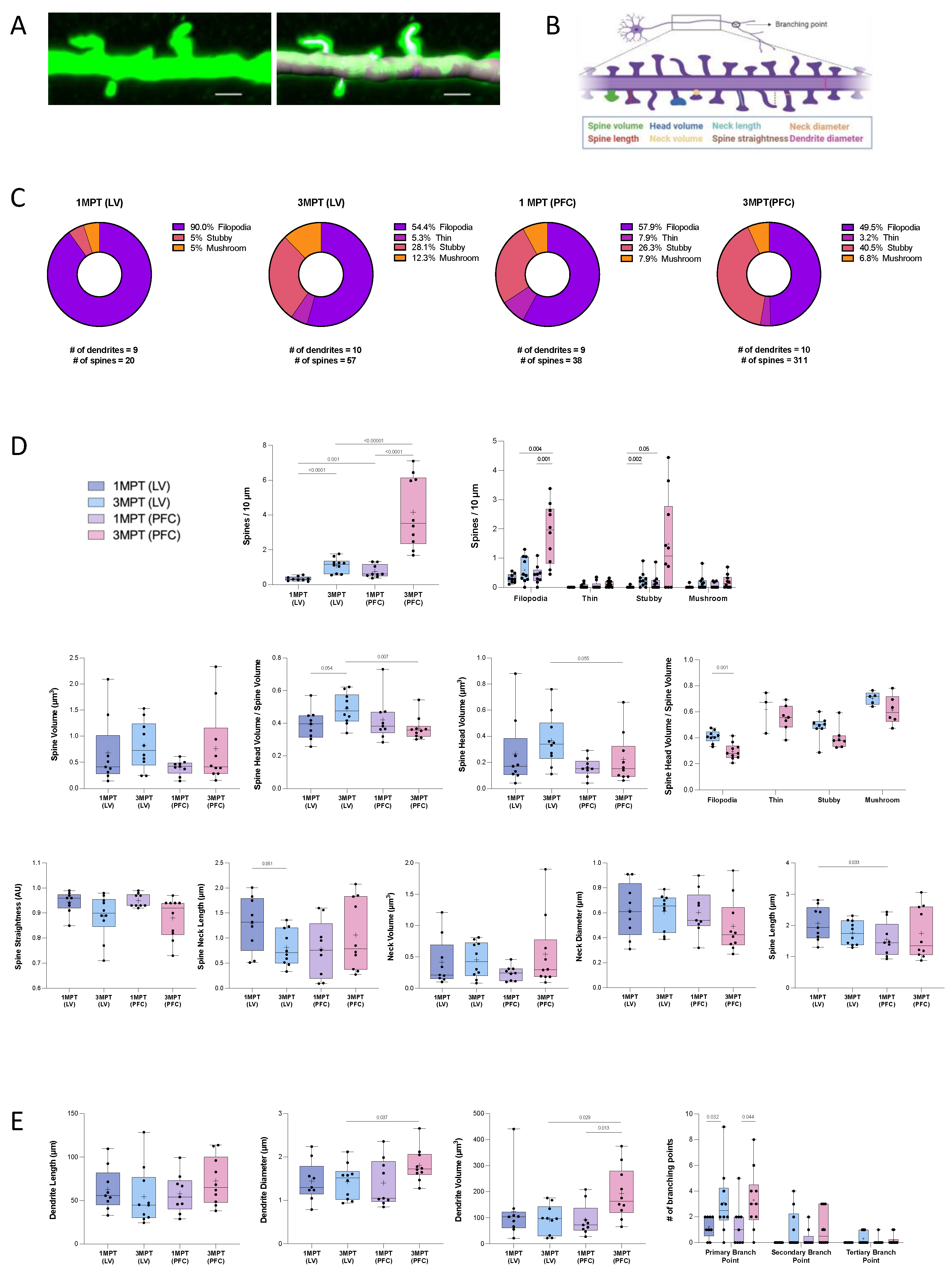 Cells 12 01067 g007 Cells 12 01067 g007