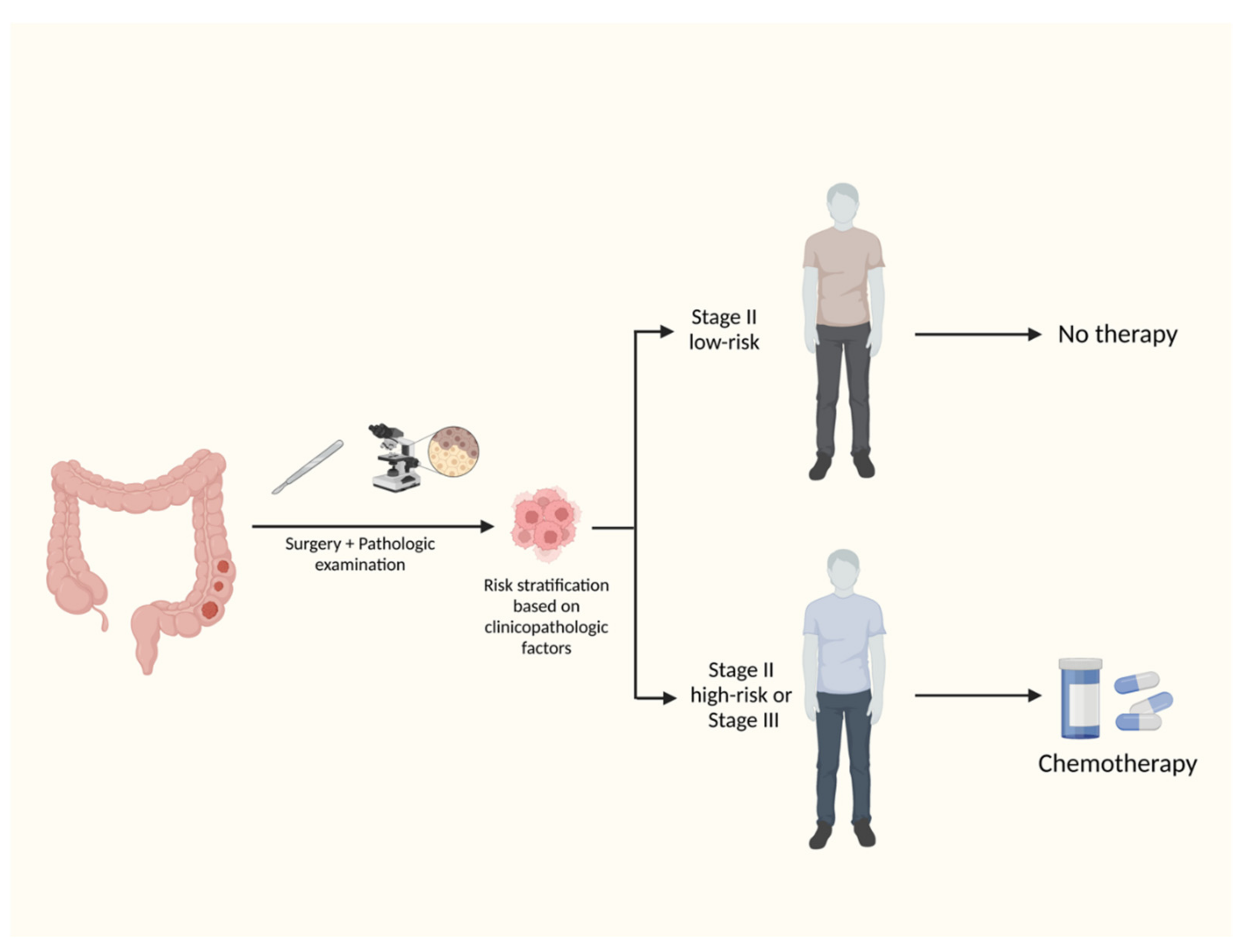 Cells 12 01068 g001 Cells 12 01068 g001