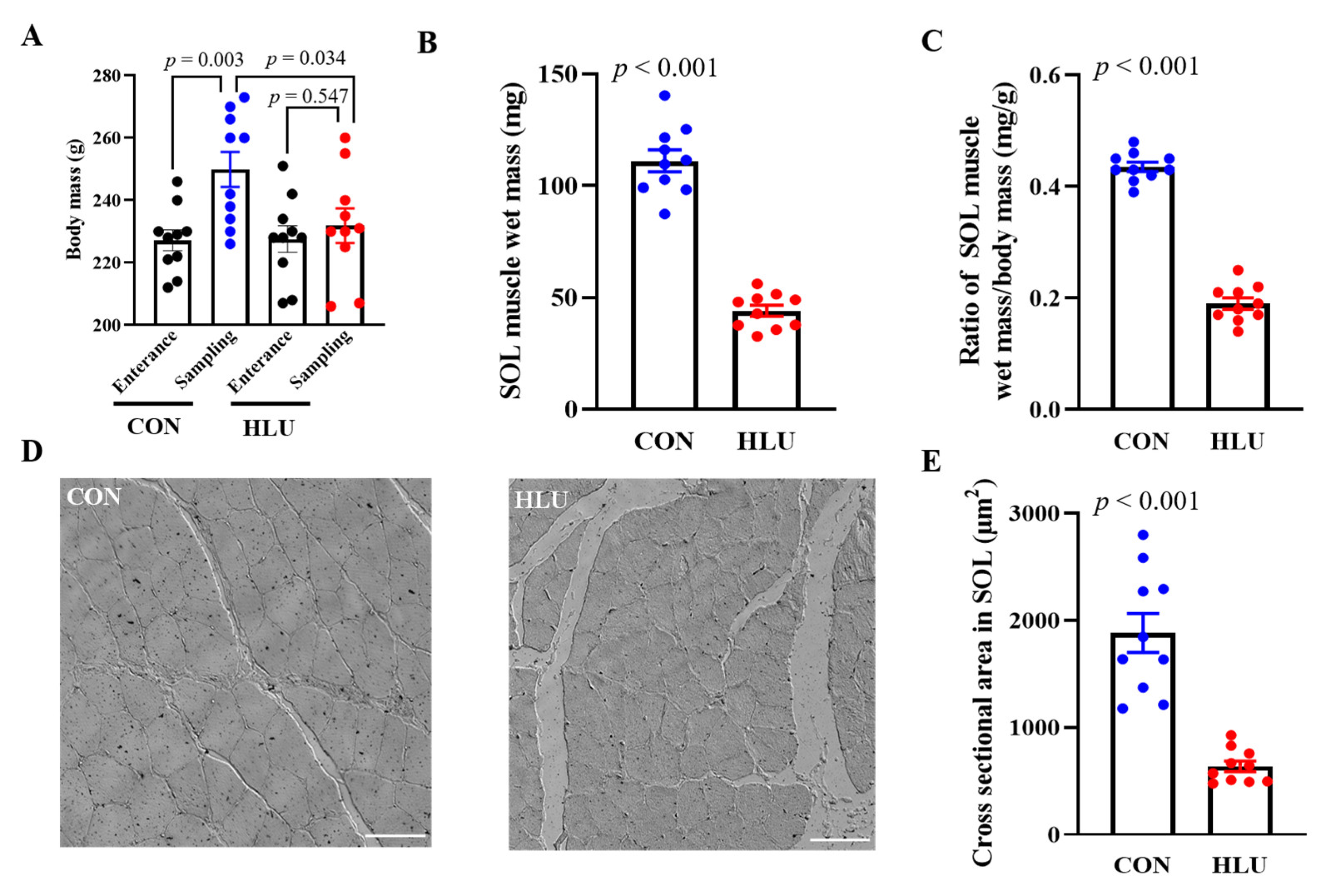 Cells 12 01077 g001 Cells 12 01077 g001