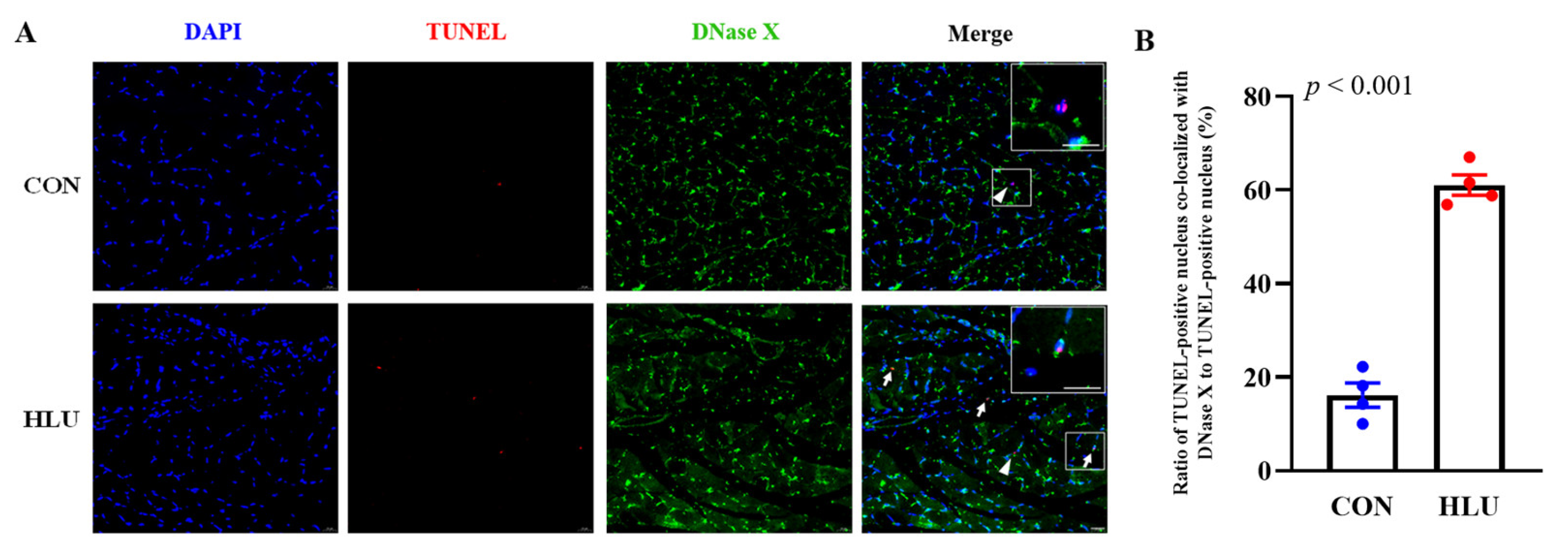 Cells 12 01077 g008 Cells 12 01077 g008