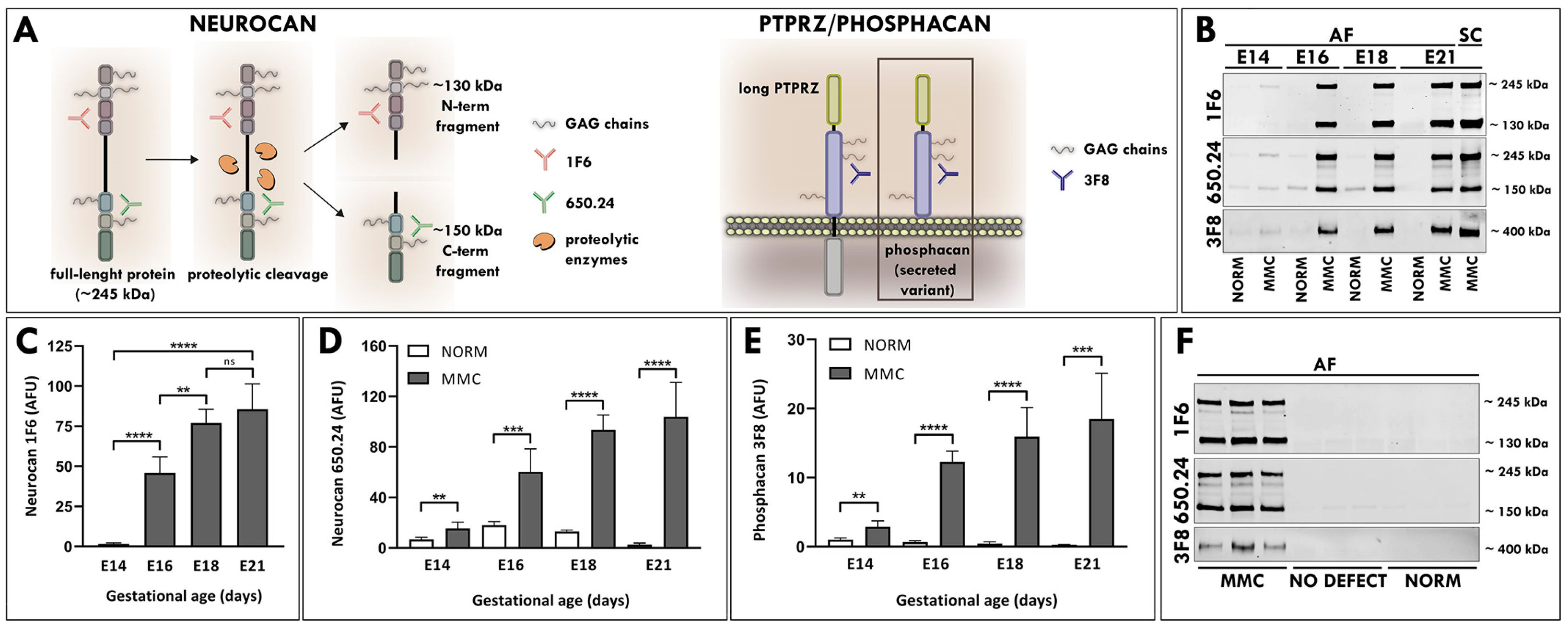 Cells 12 01084 g002 Cells 12 01084 g002
