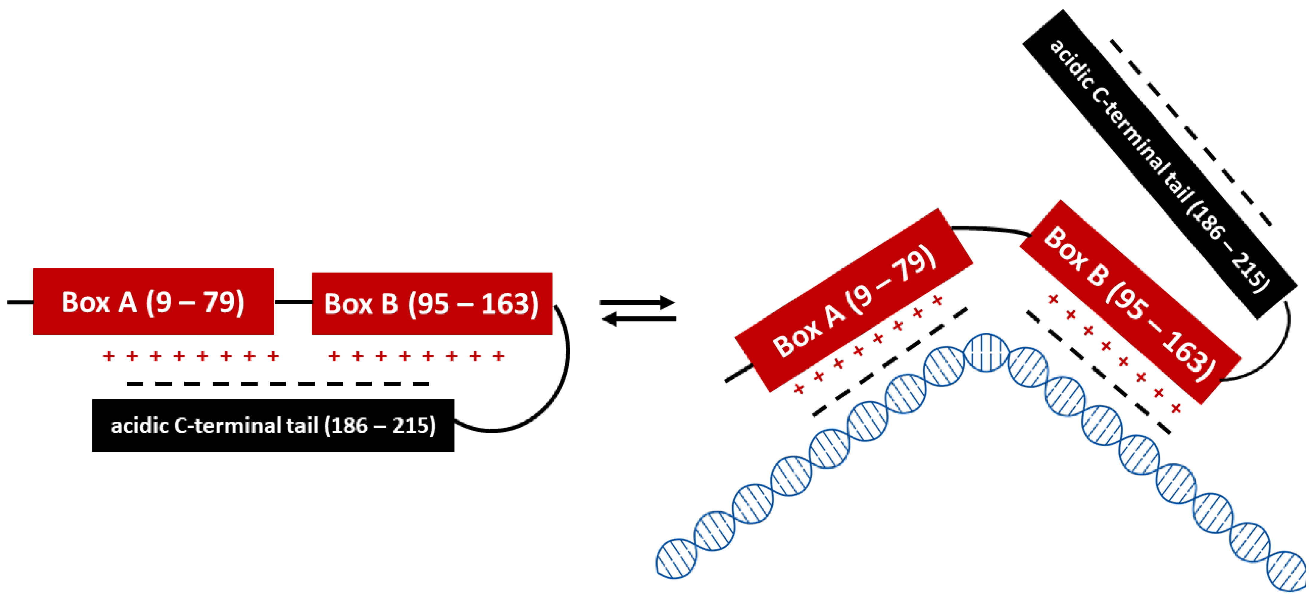 Cells 12 01088 g001 Cells 12 01088 g001