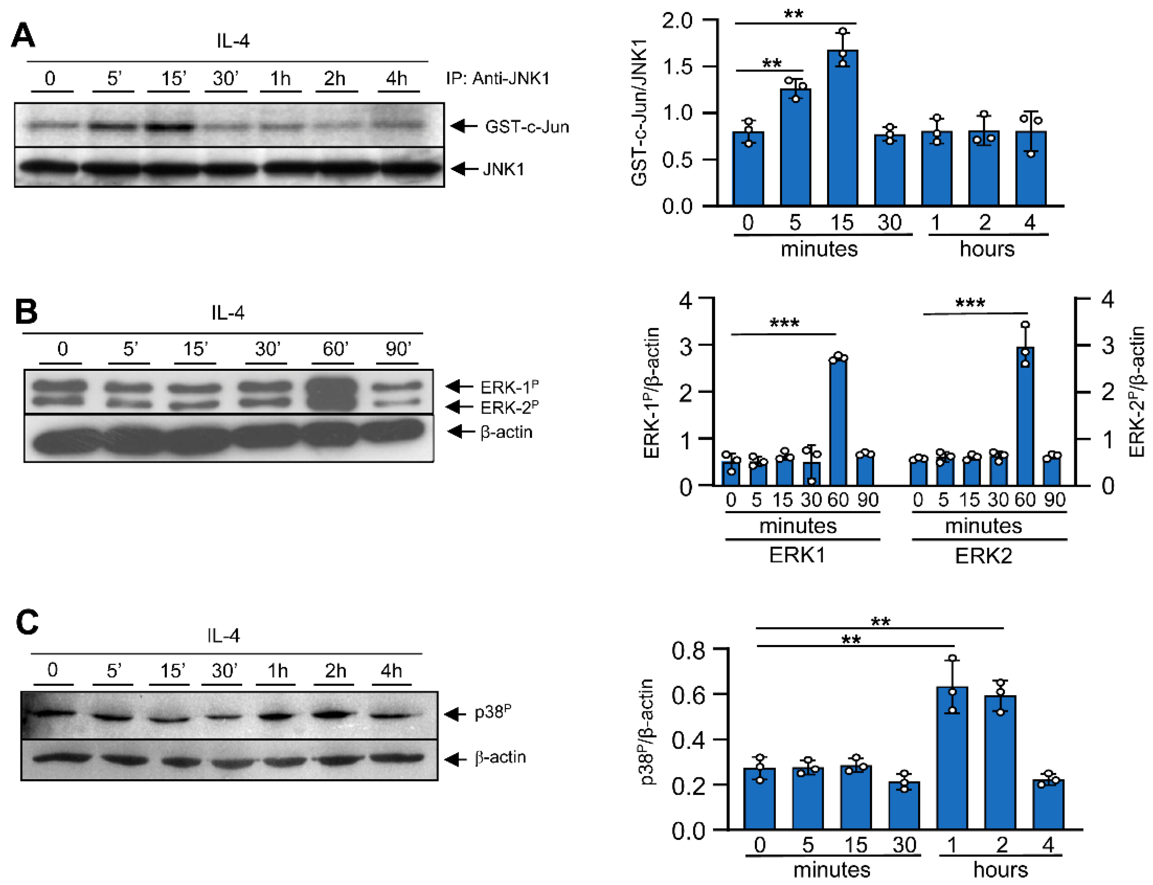 Cells 12 01127 g001 Cells 12 01127 g001