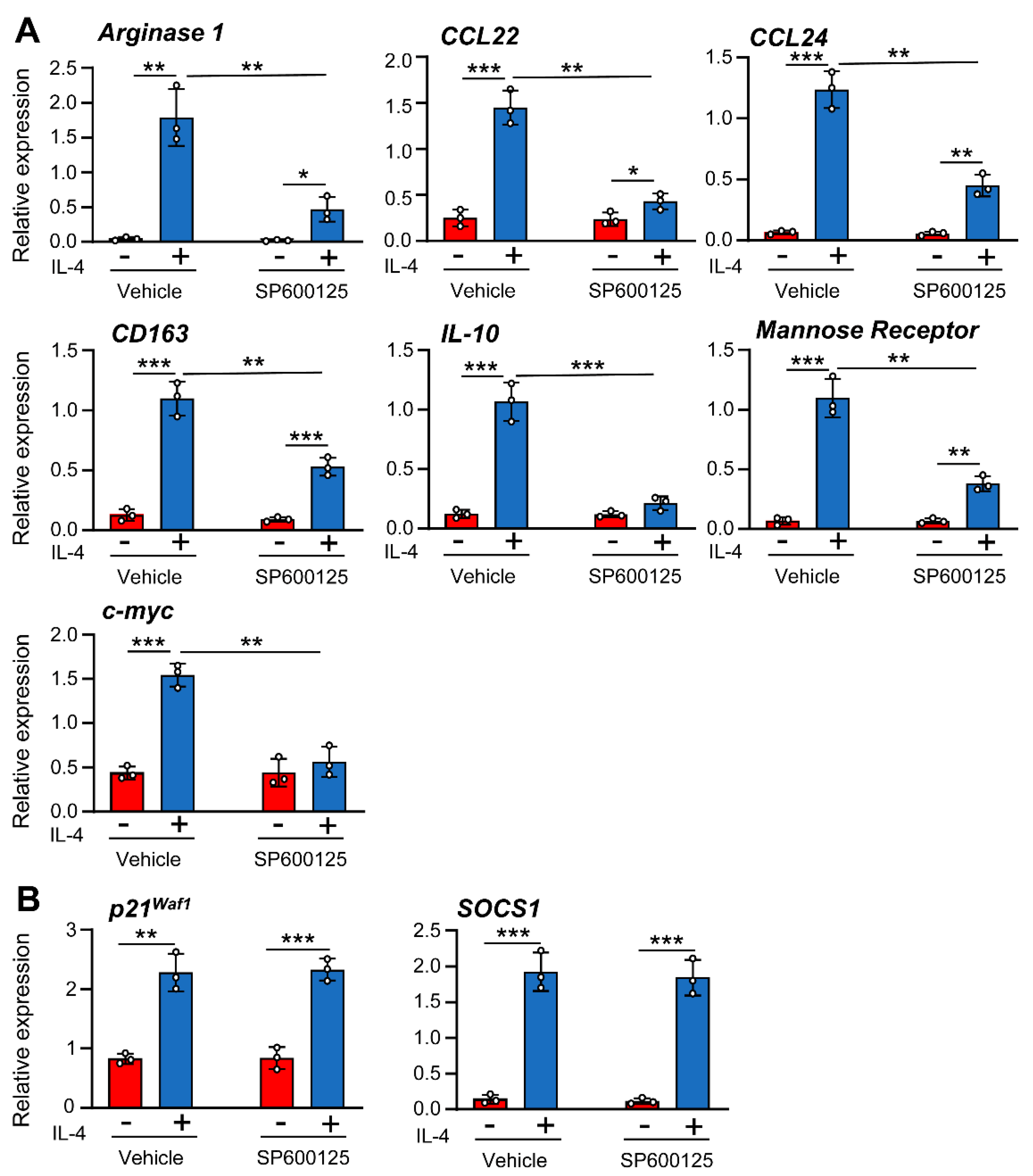 Cells 12 01127 g003 Cells 12 01127 g003