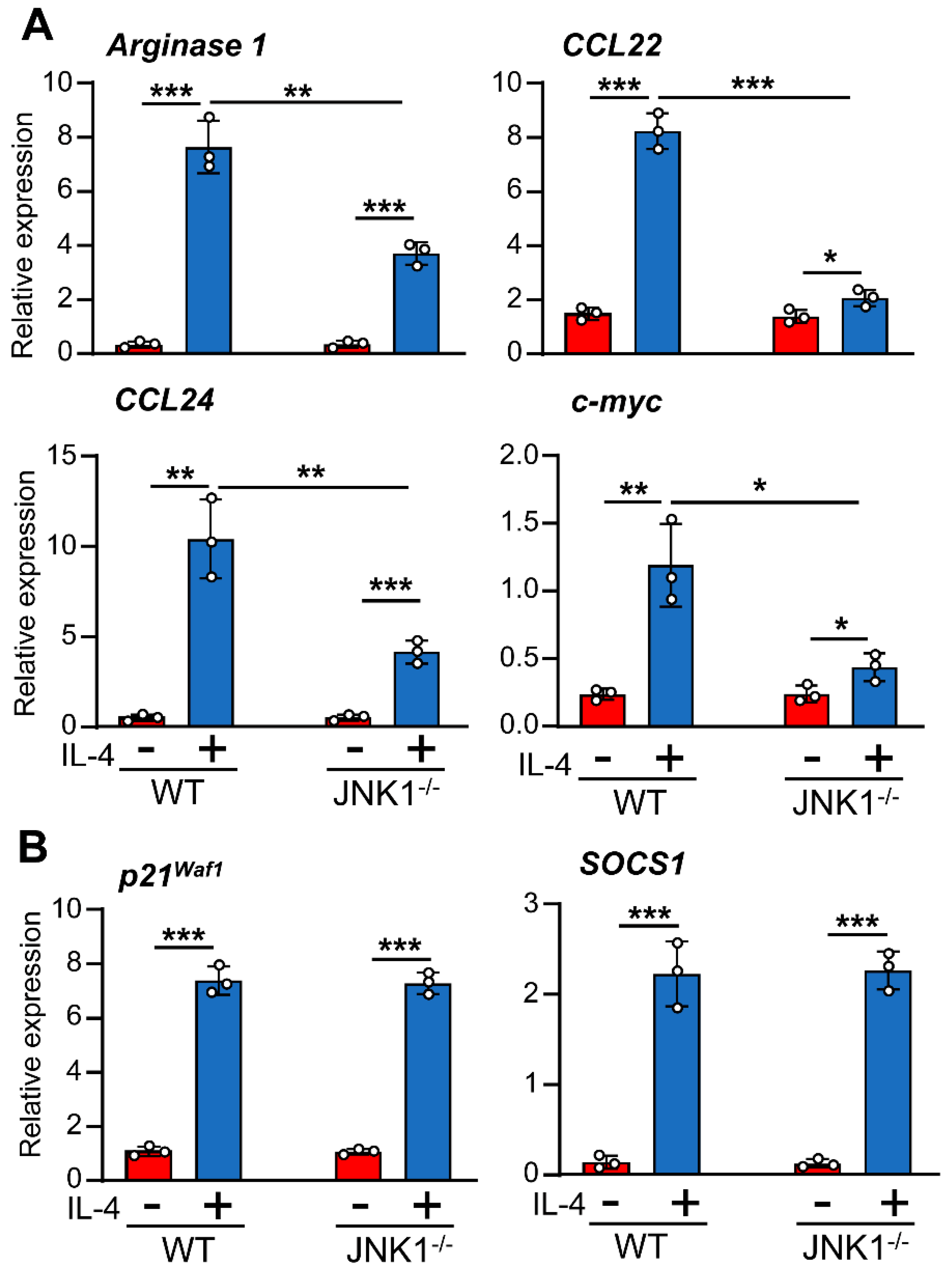 Cells 12 01127 g004 Cells 12 01127 g004