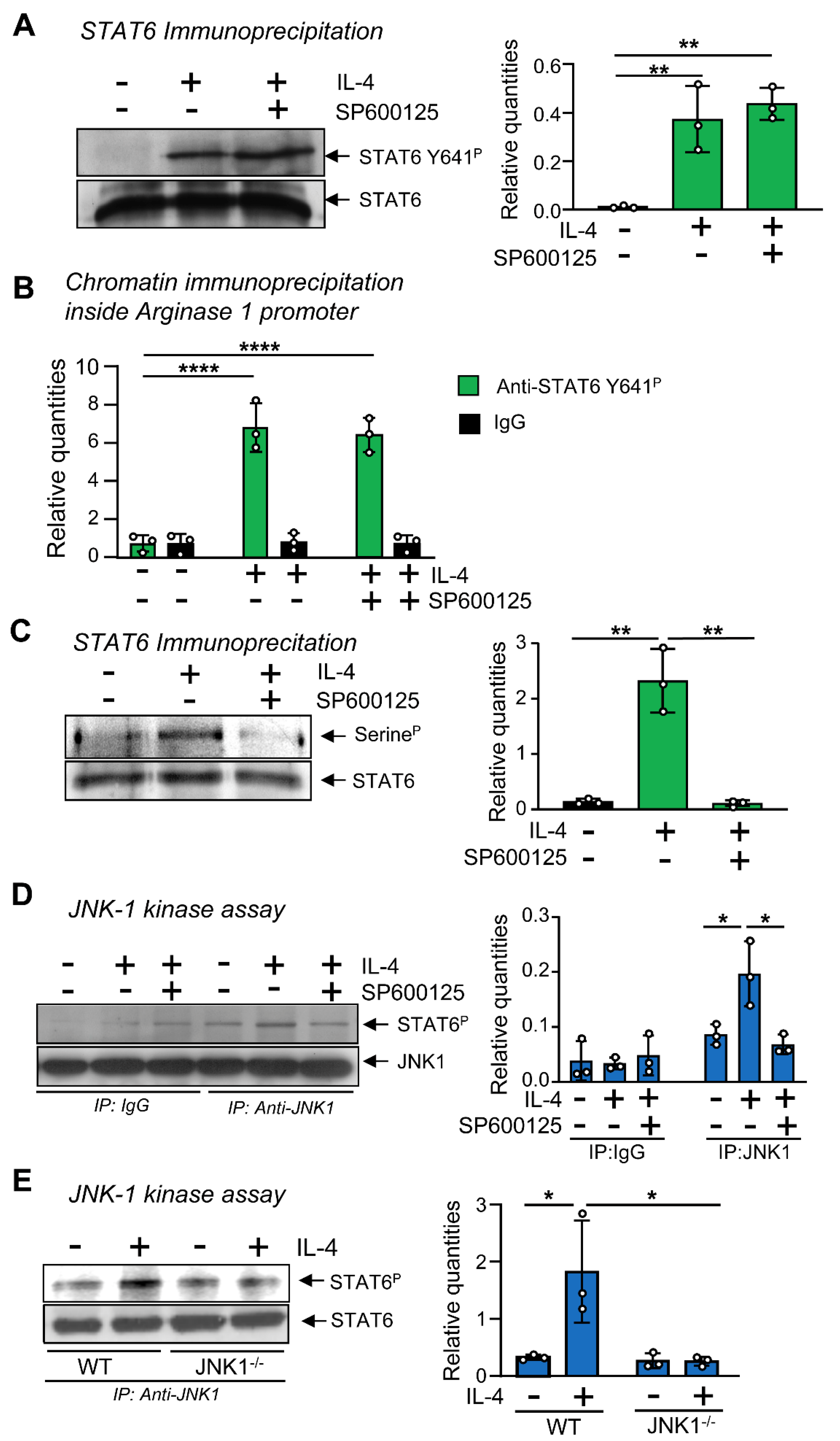 Cells 12 01127 g006 Cells 12 01127 g006