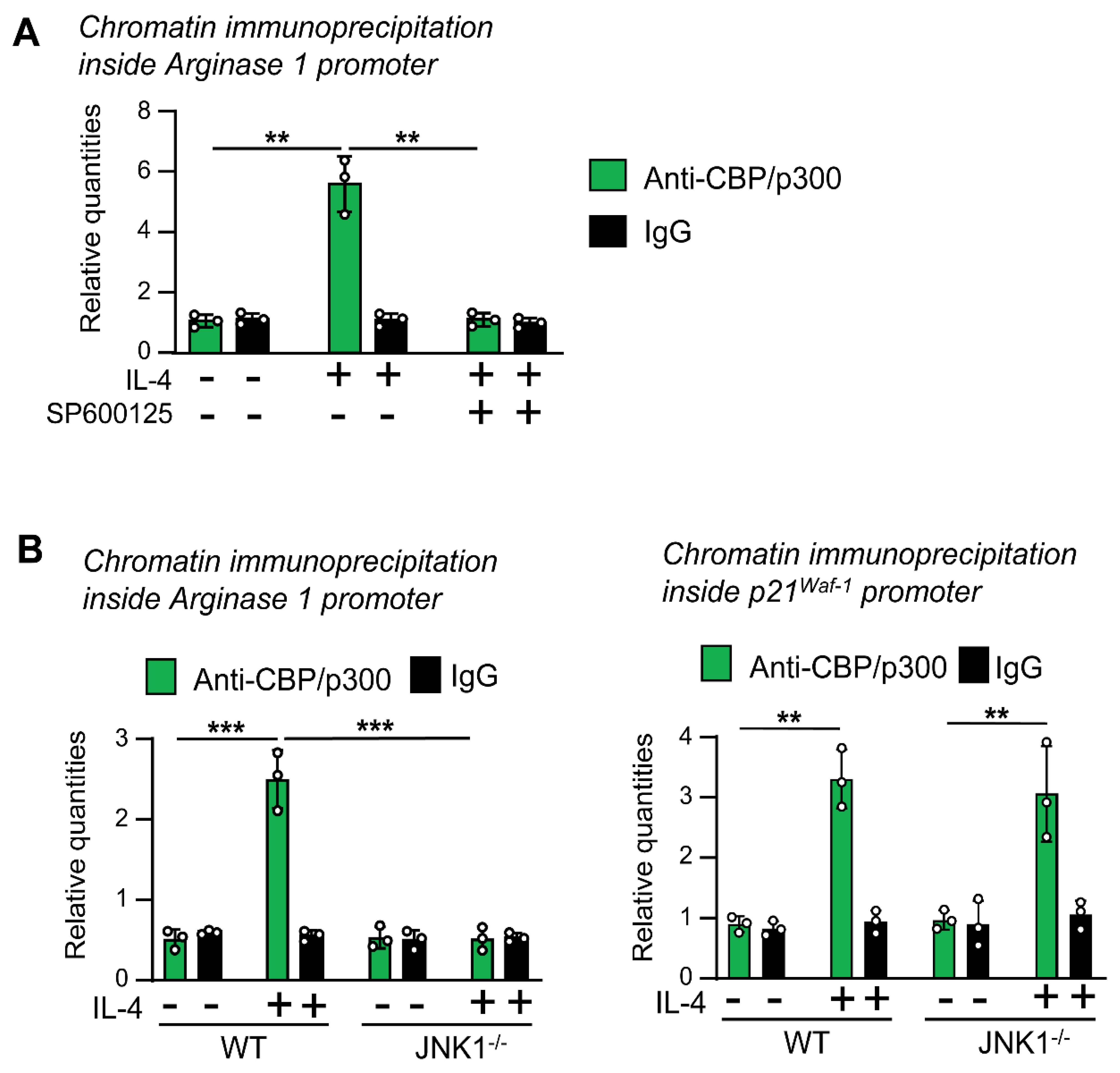 Cells 12 01127 g007 Cells 12 01127 g007