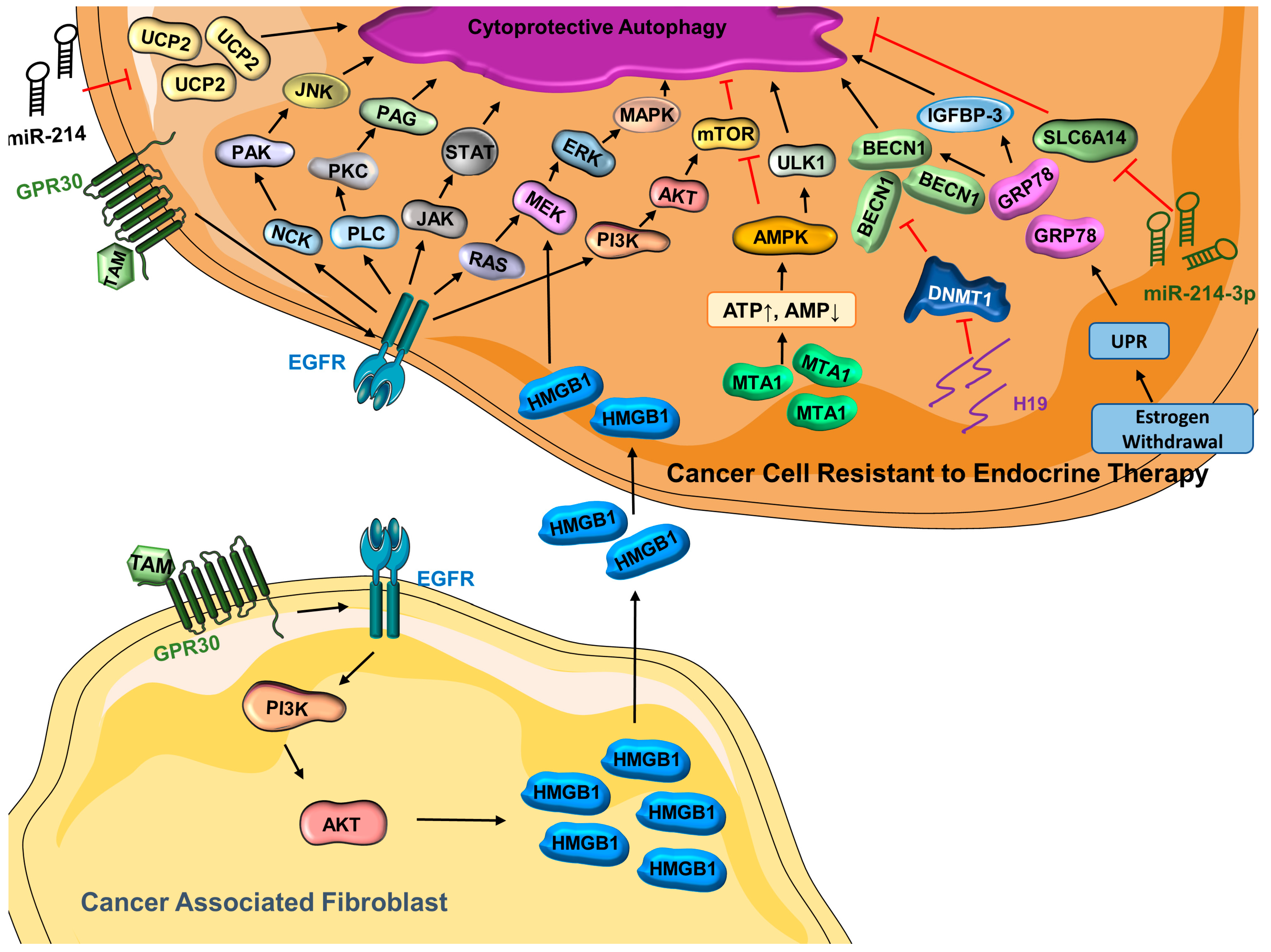 Cells 12 01156 g001 Cells 12 01156 g001