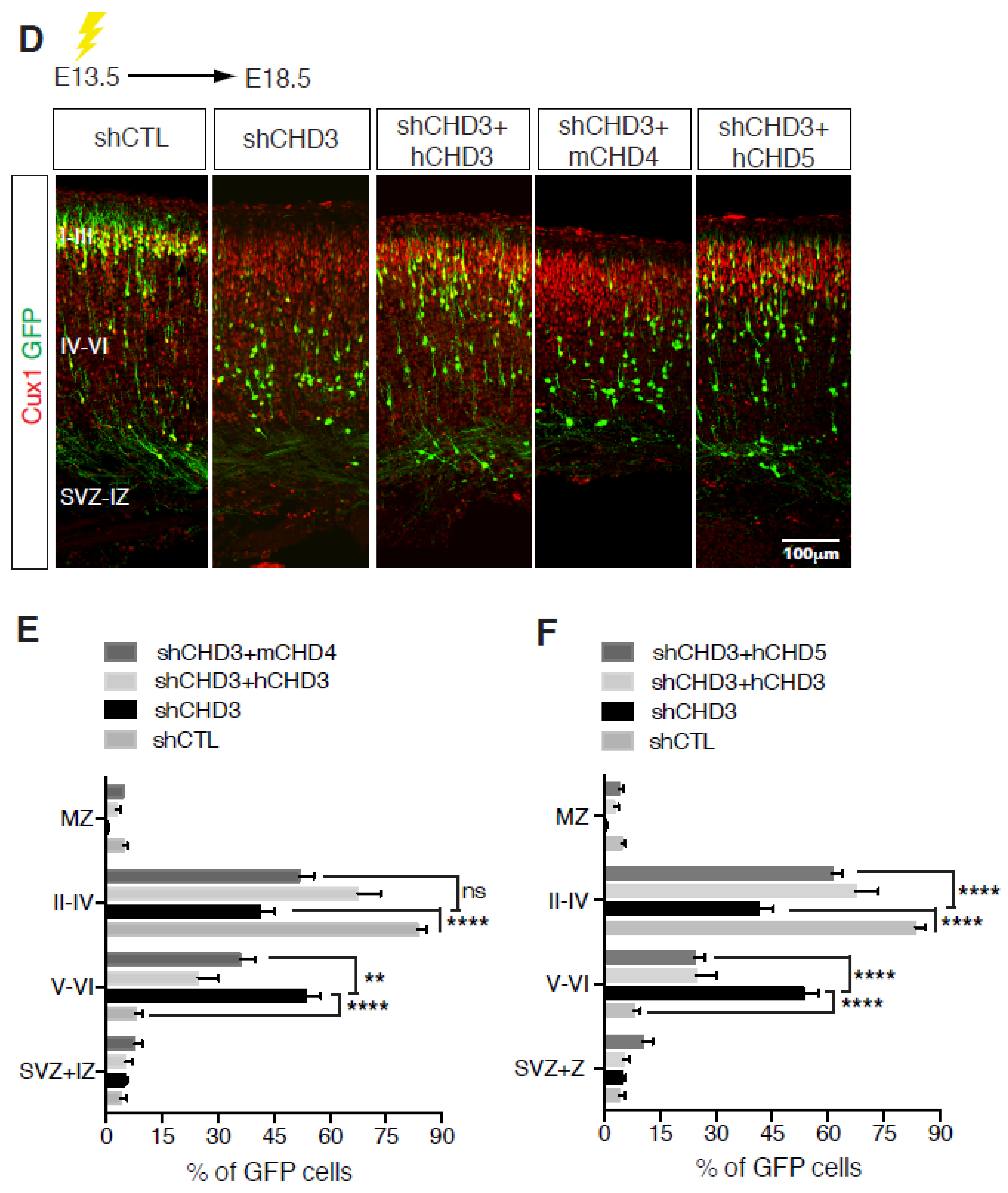 Cells 12 01179 g003b