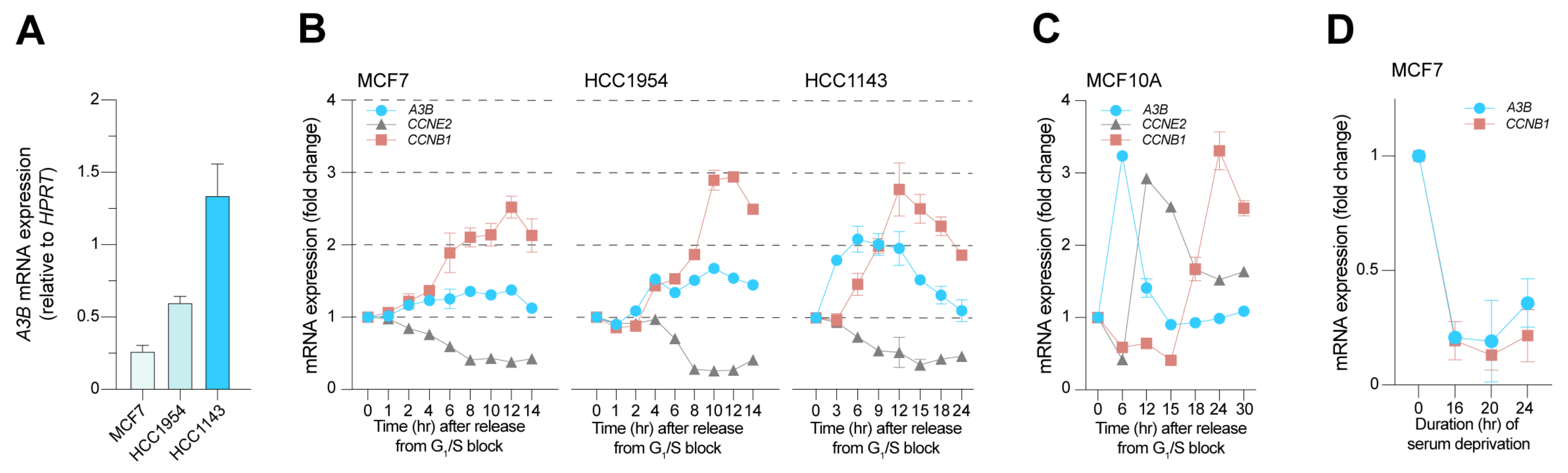 Cells 12 01185 g002 Cells 12 01185 g002