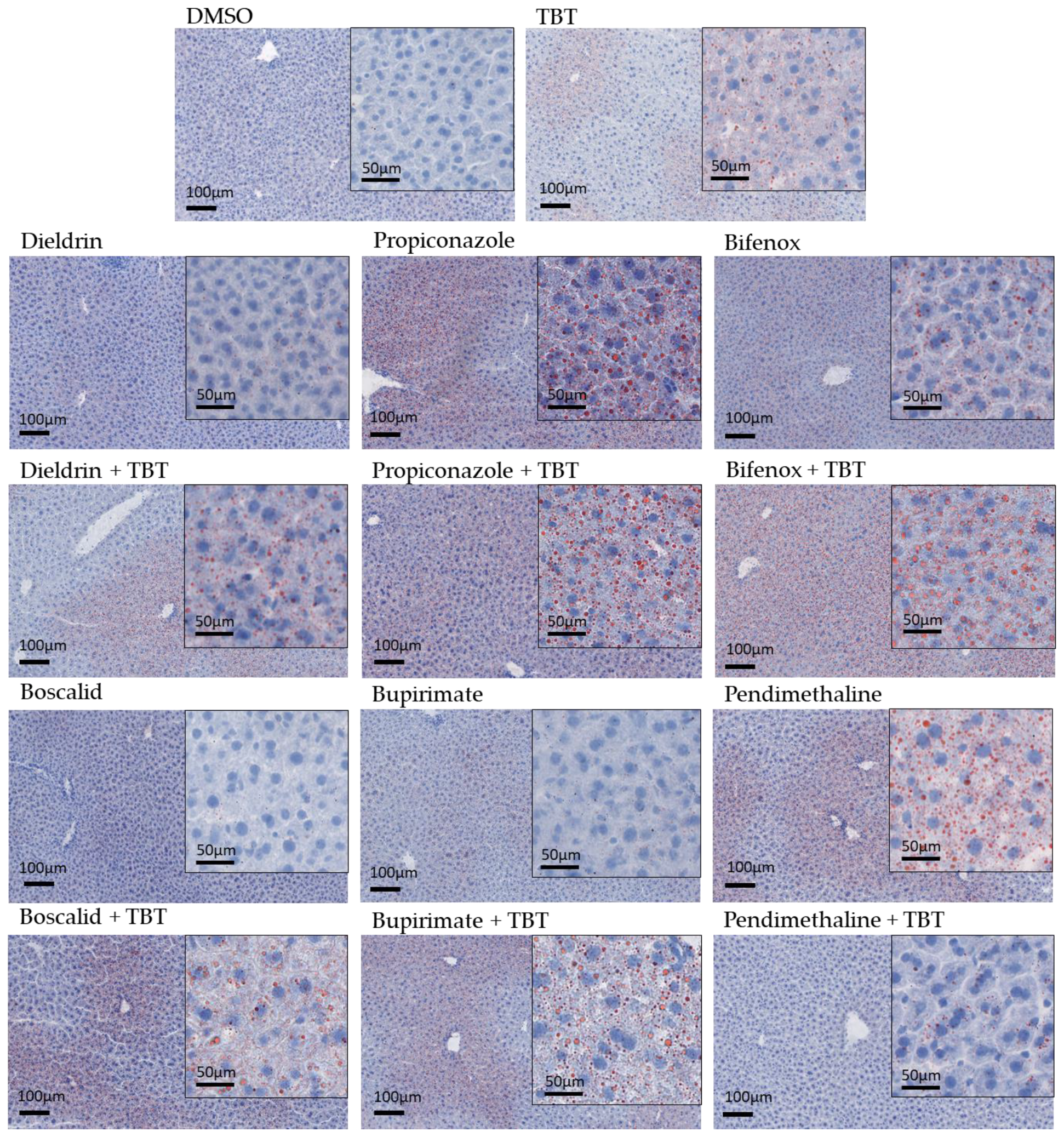 Cells 12 01201 g003