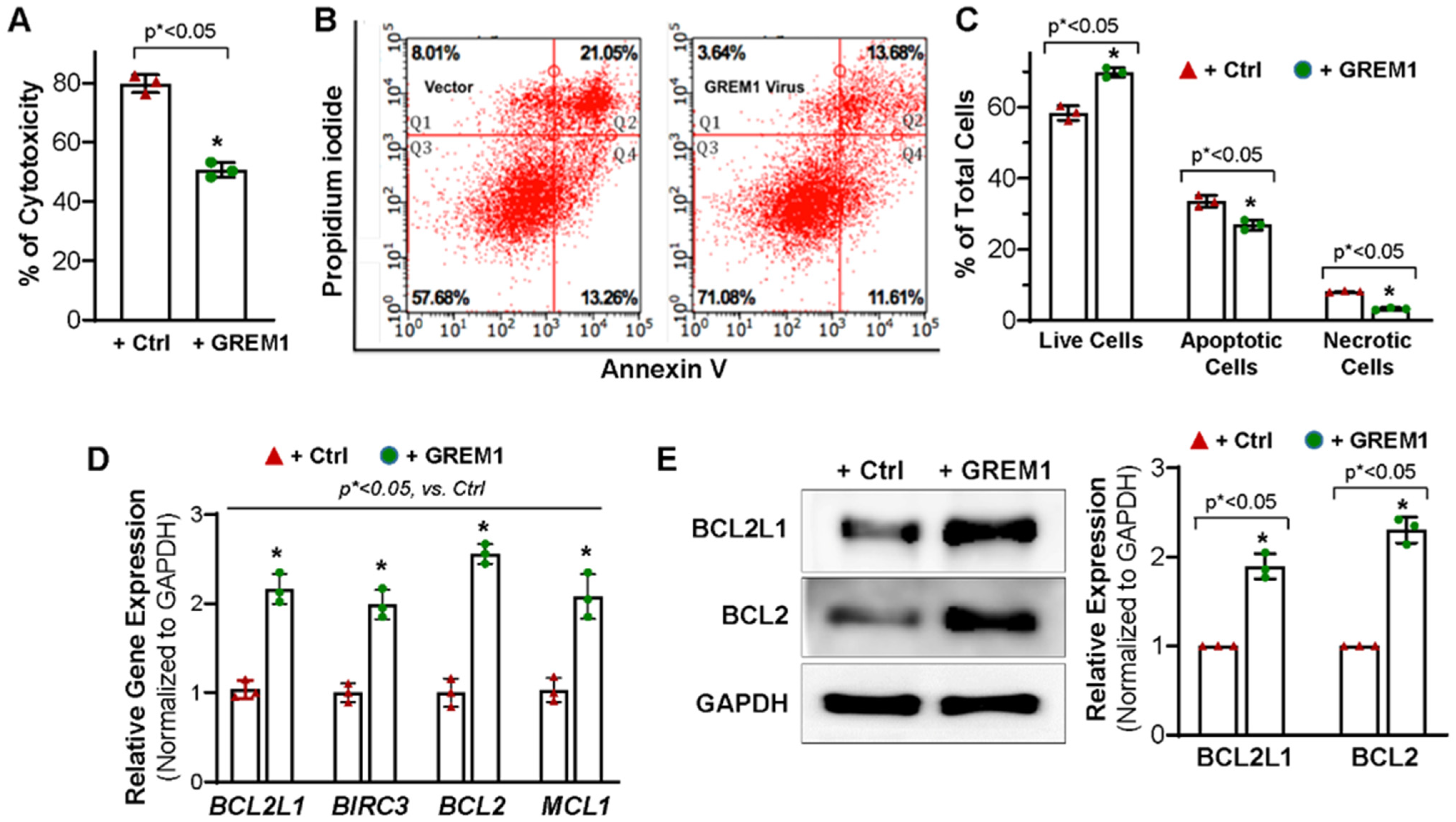 Cells 12 01203 g003 Cells 12 01203 g003