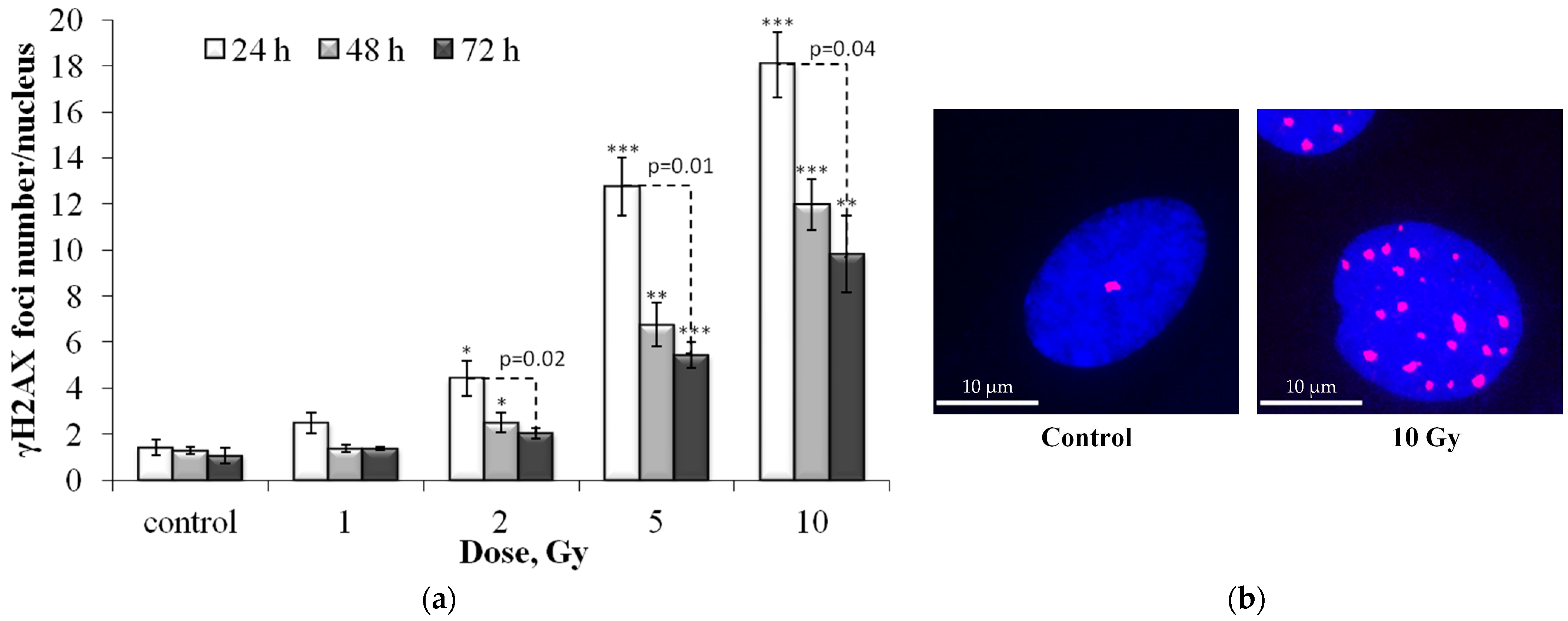 Cells 12 01209 g001 Cells 12 01209 g001
