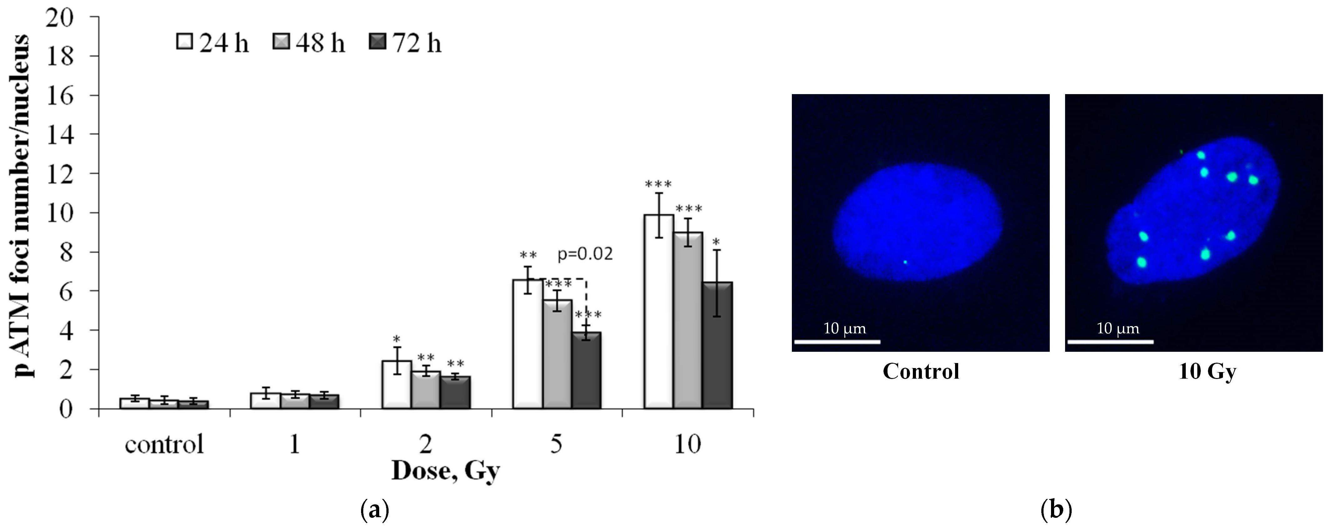 Cells 12 01209 g002 Cells 12 01209 g002