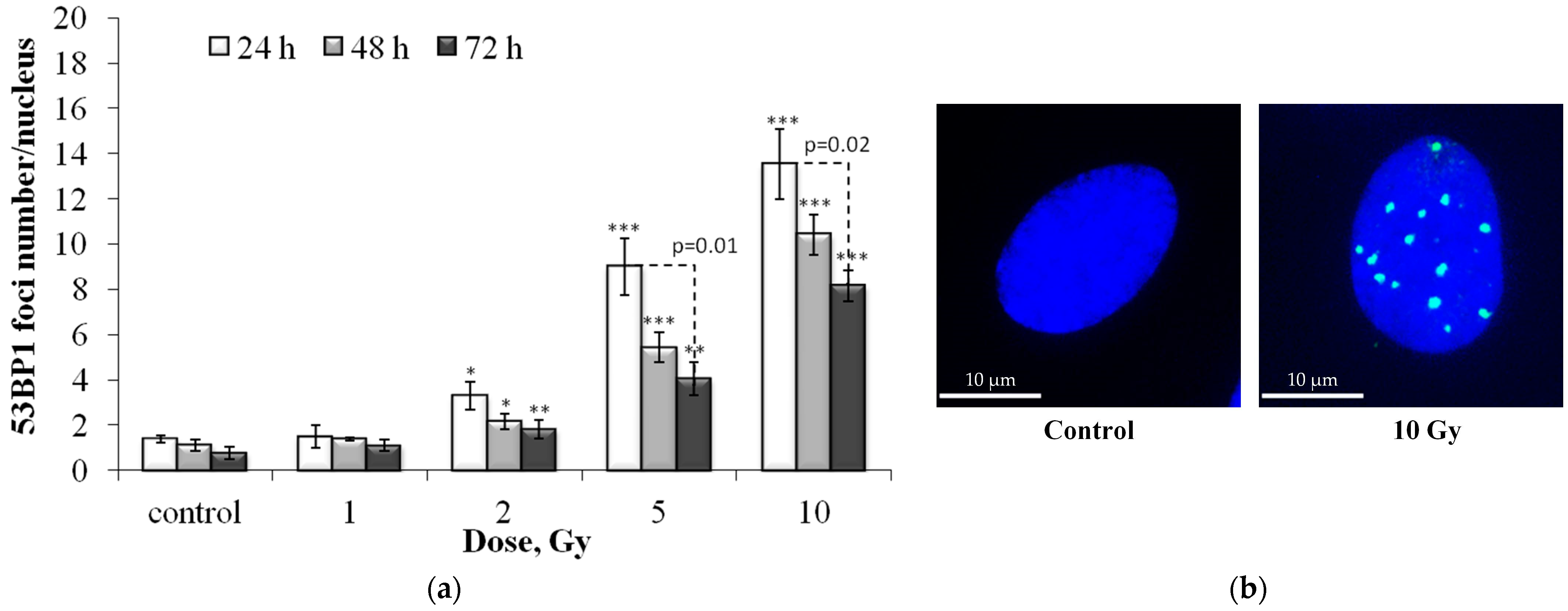 Cells 12 01209 g003 Cells 12 01209 g003