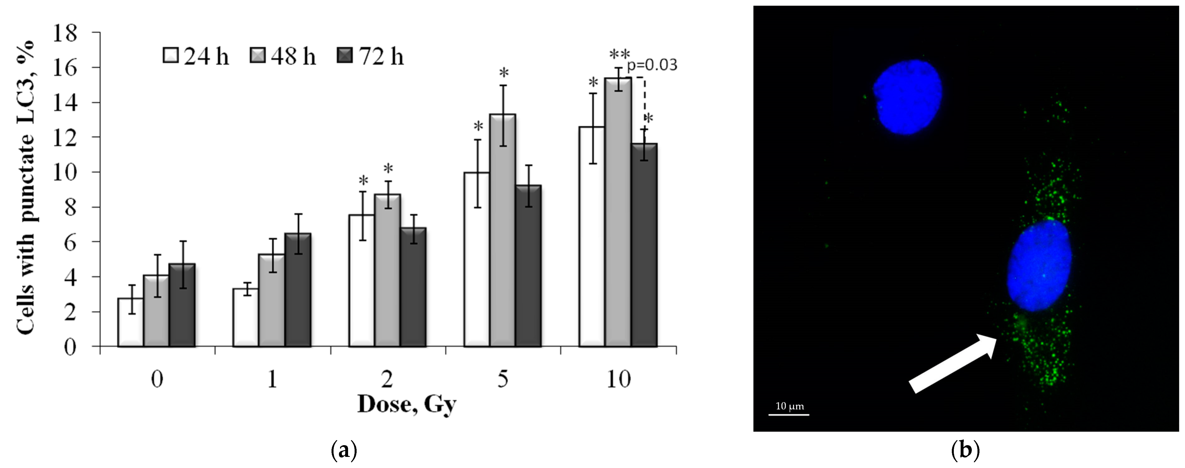 Cells 12 01209 g009 Cells 12 01209 g009