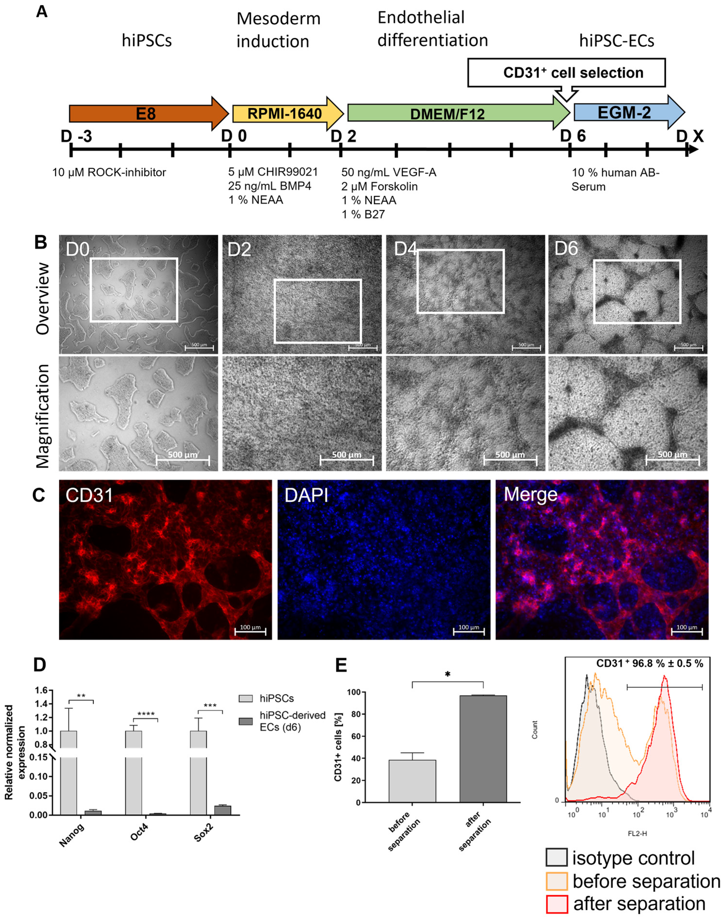 Cells 12 01217 g001 Cells 12 01217 g001