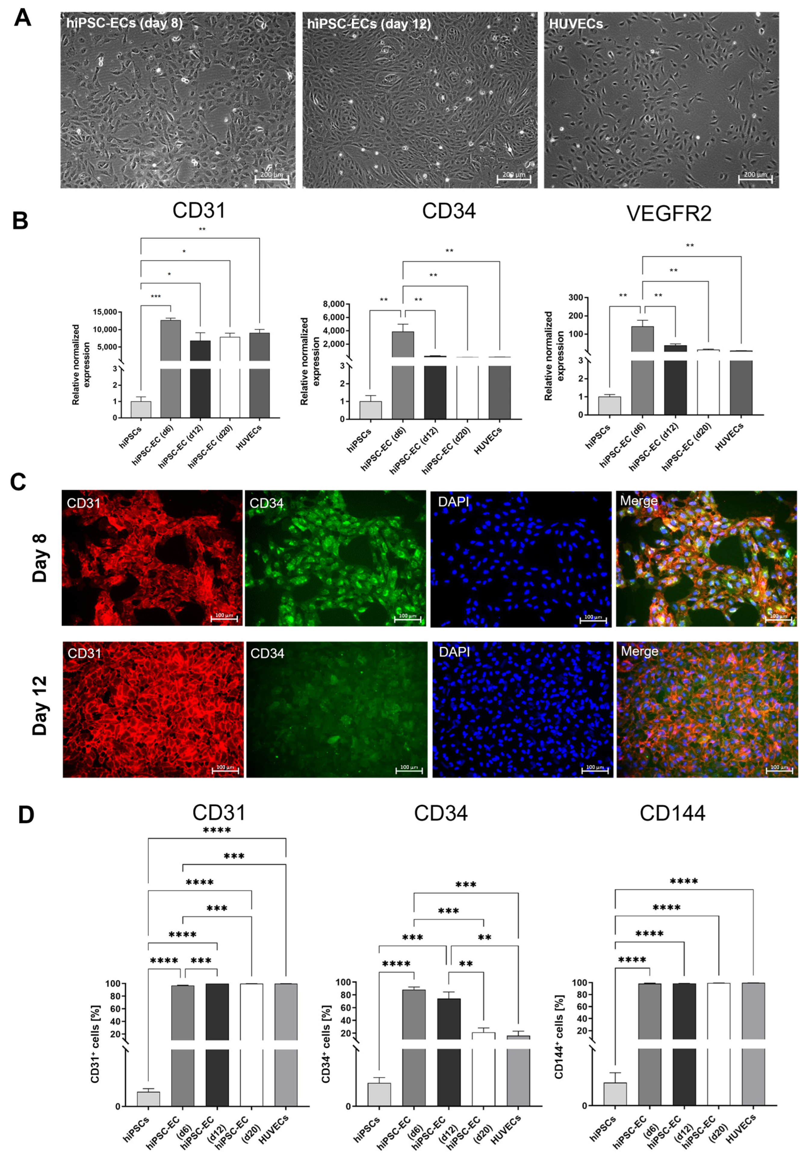 Cells 12 01217 g002 Cells 12 01217 g002