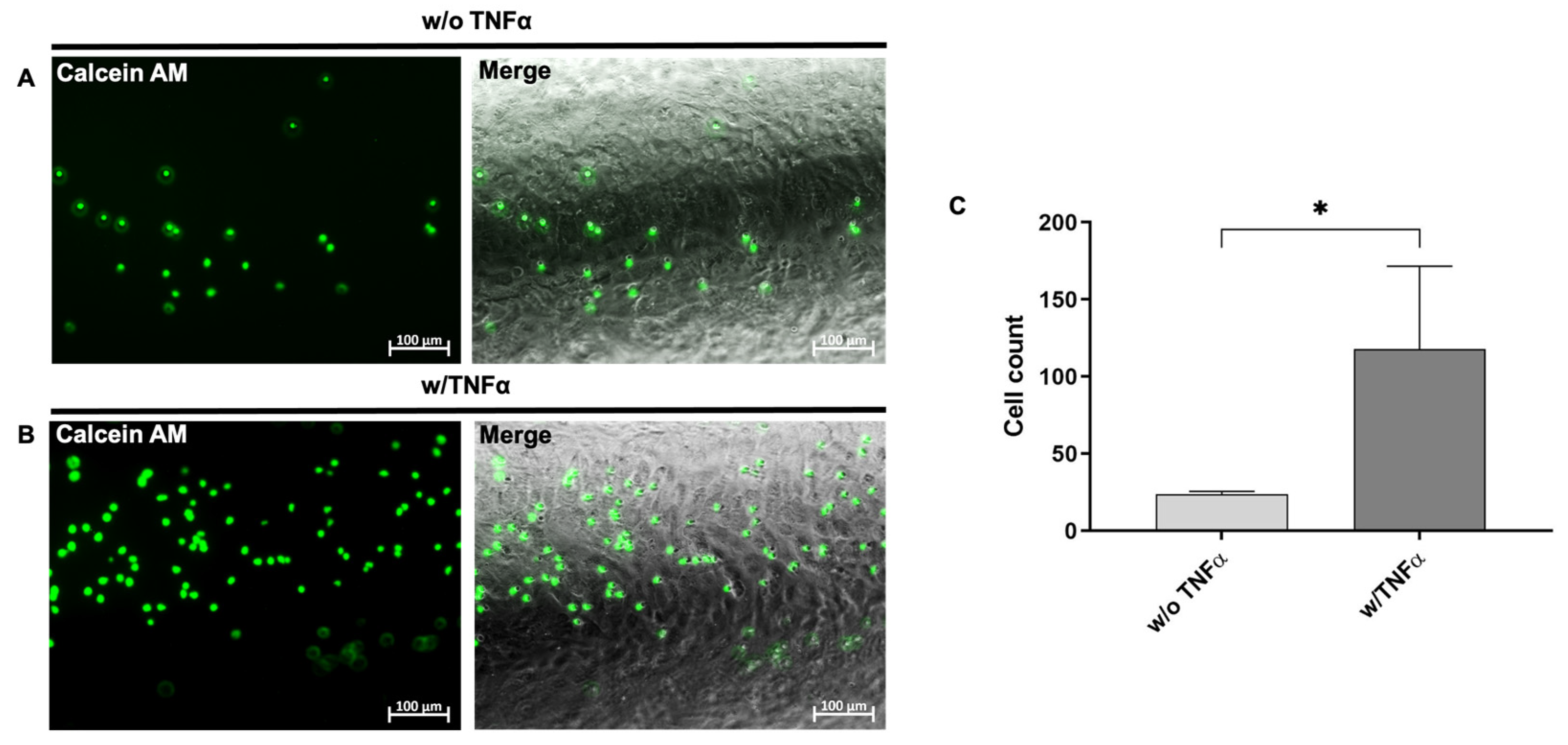 Cells 12 01217 g005 Cells 12 01217 g005