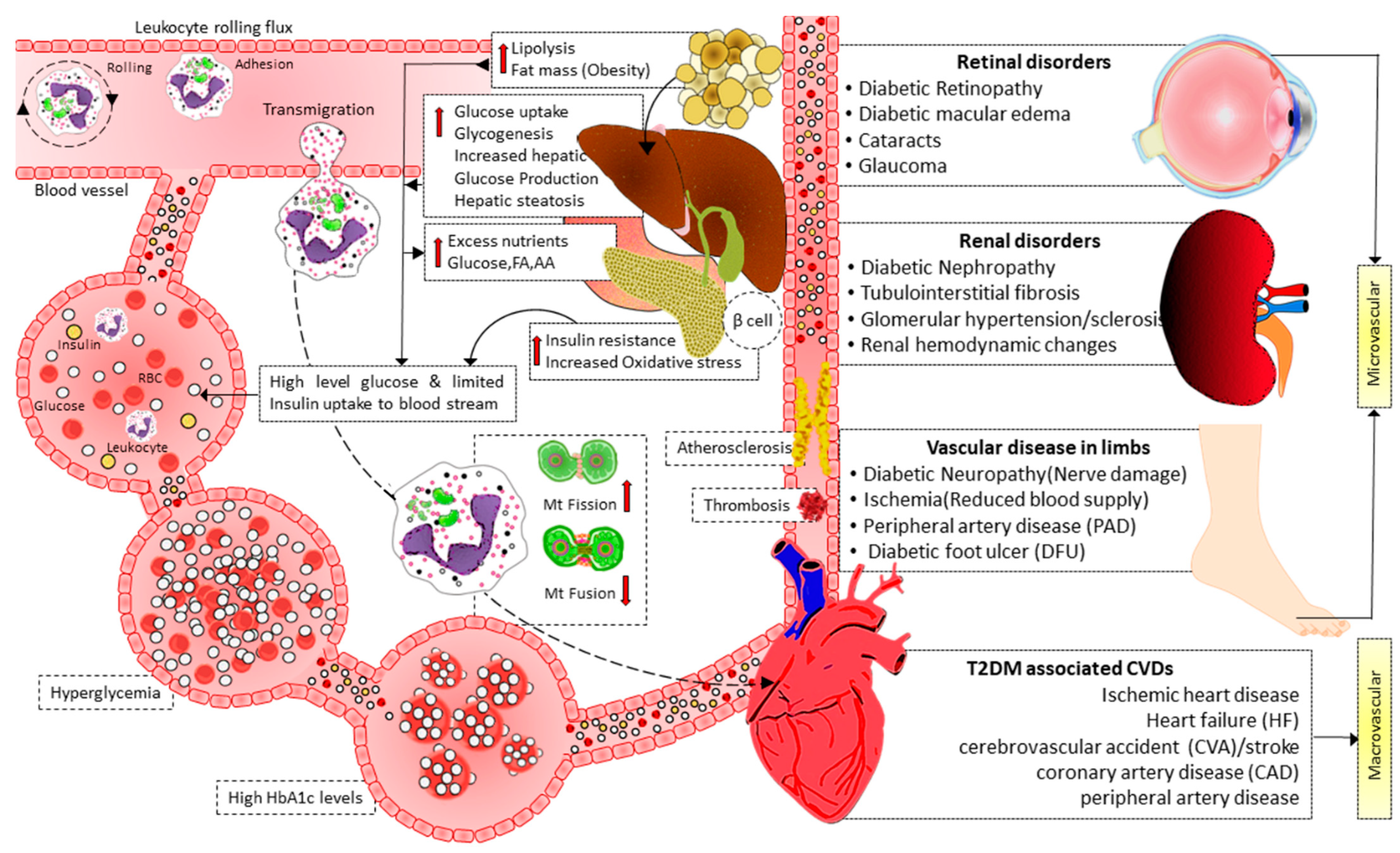 Cells 12 01223 g003 Cells 12 01223 g003