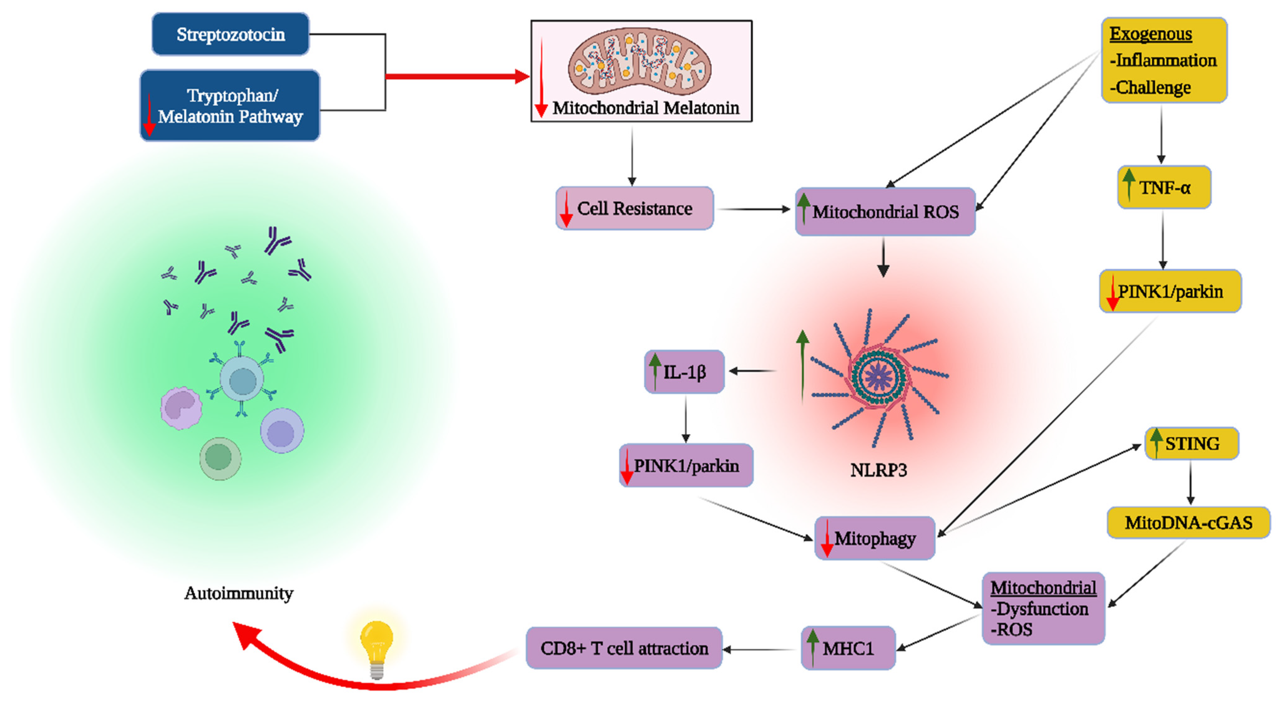 Cells 12 01237 g002 Cells 12 01237 g002