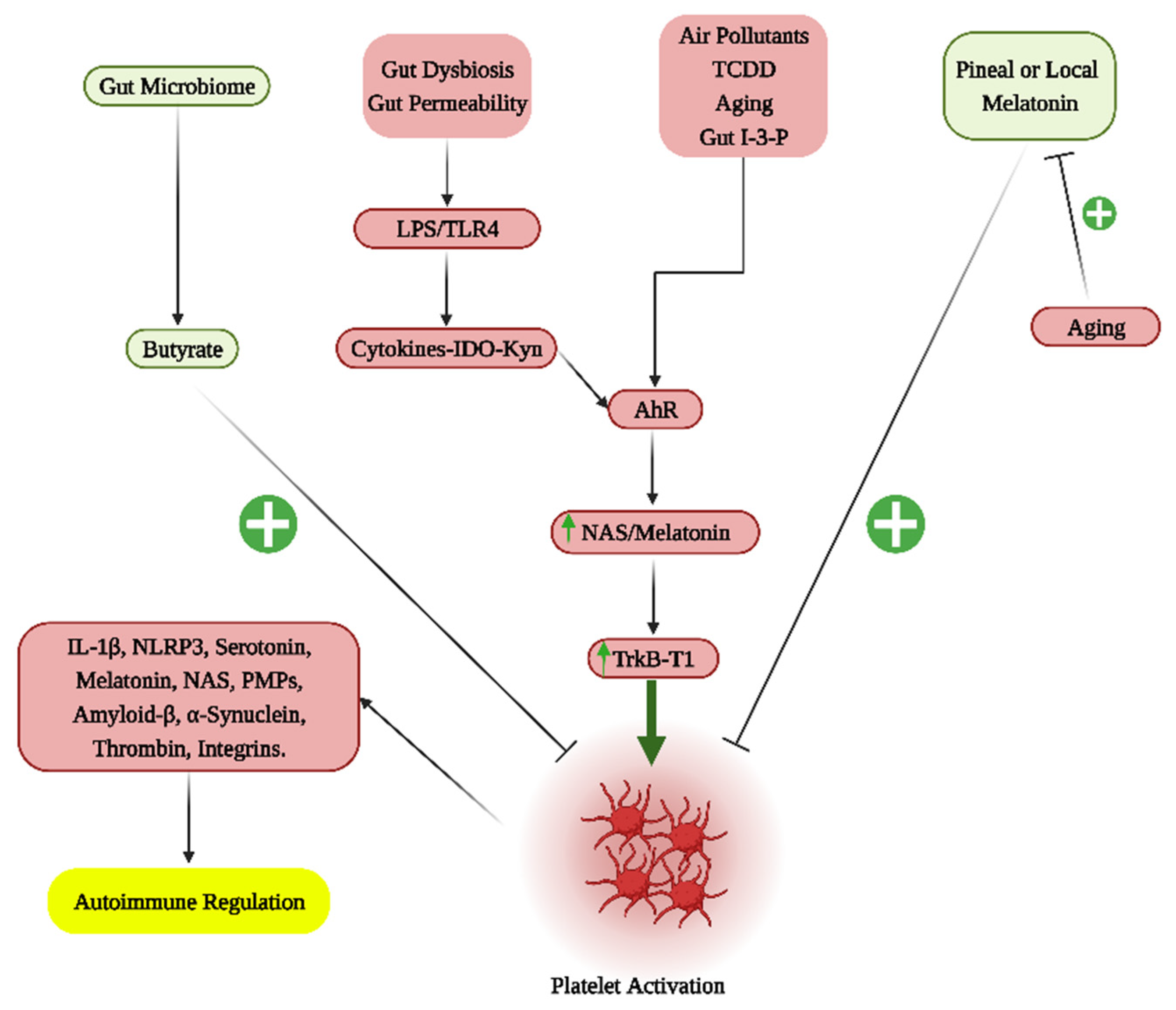 Cells 12 01237 g003 Cells 12 01237 g003