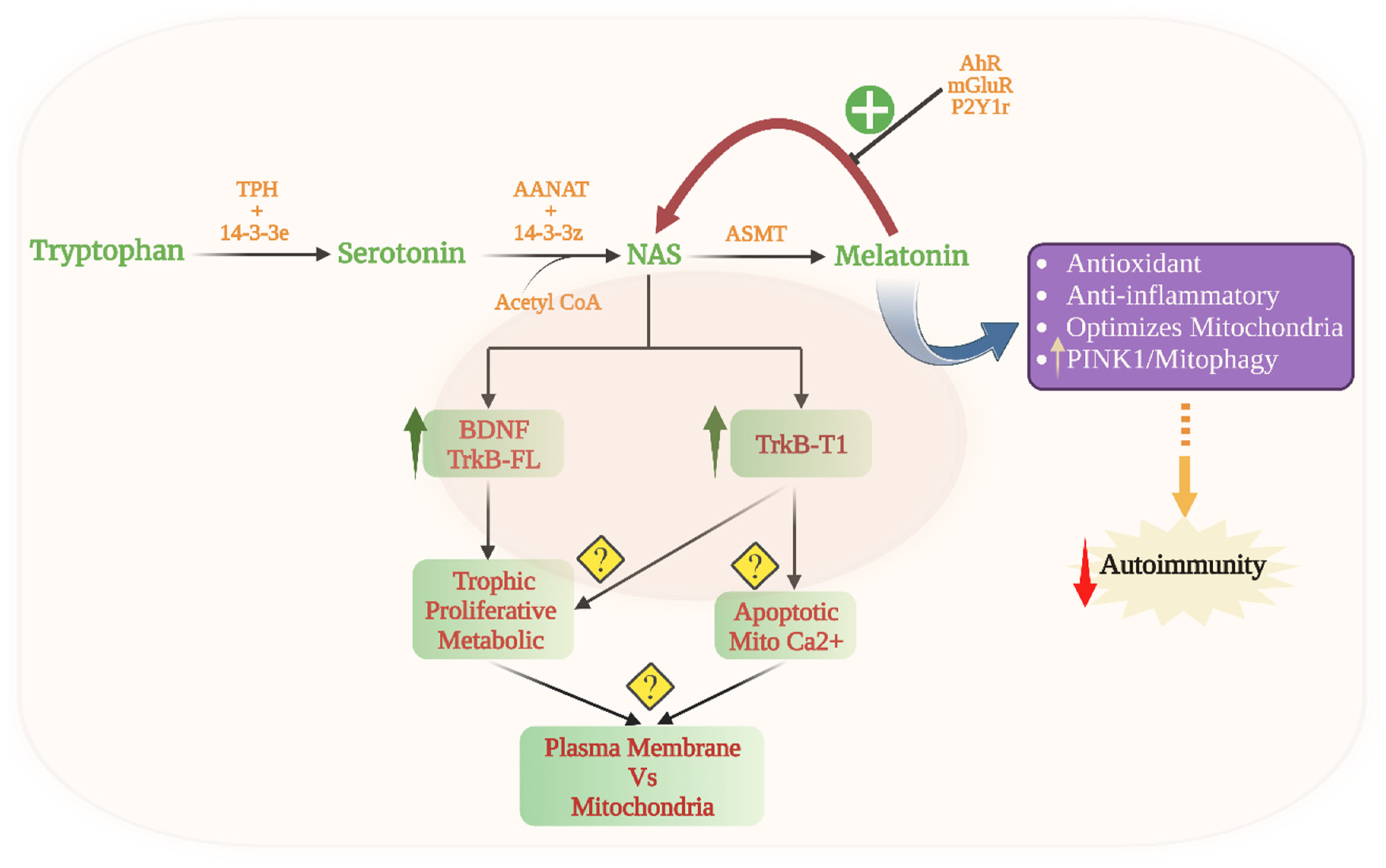 Cells 12 01237 g005 Cells 12 01237 g005