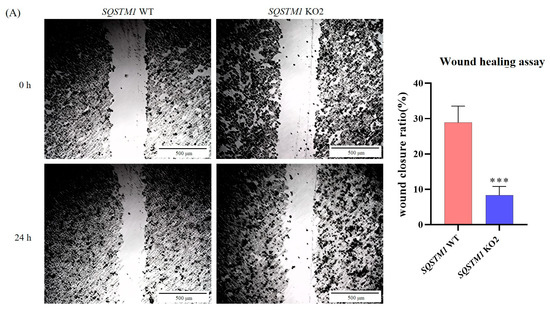 Cells 12 01238 g0a1a