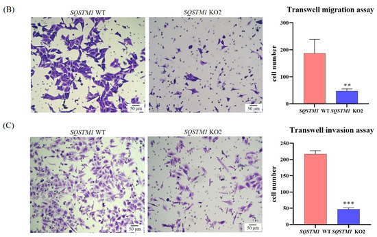 Cells 12 01238 g0a1b