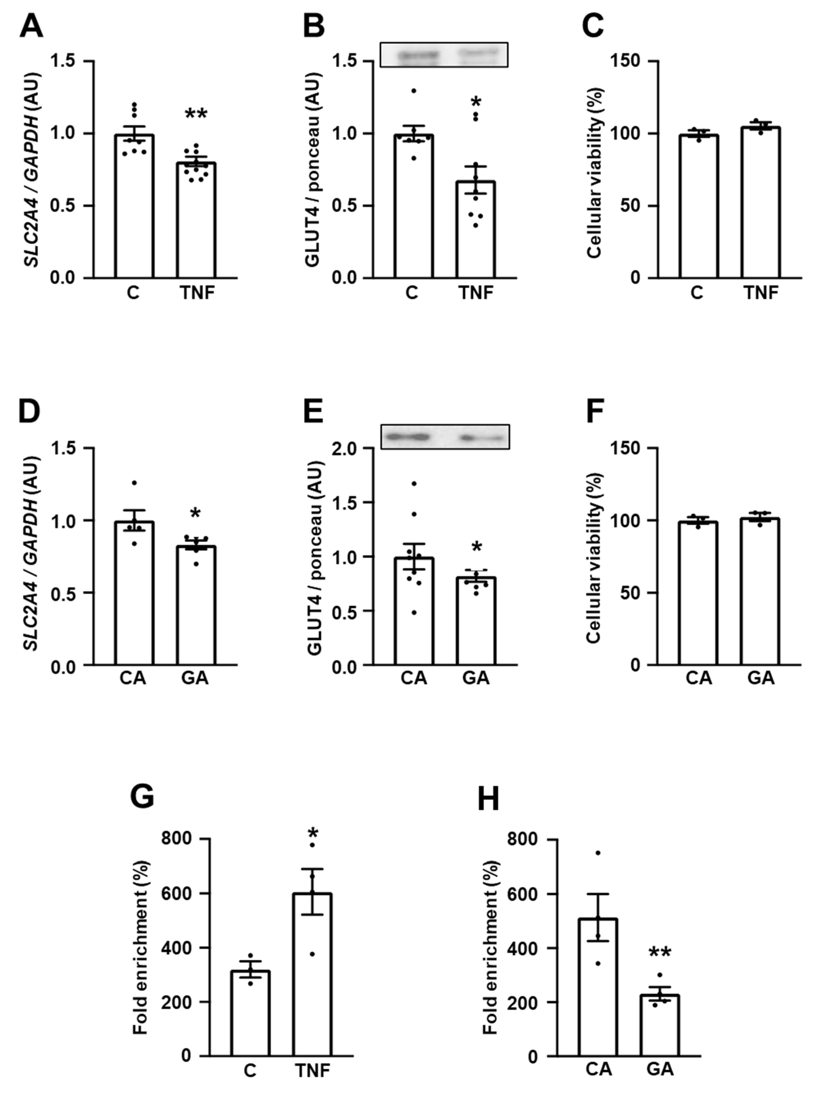 Cells 12 01250 g004 Cells 12 01250 g004