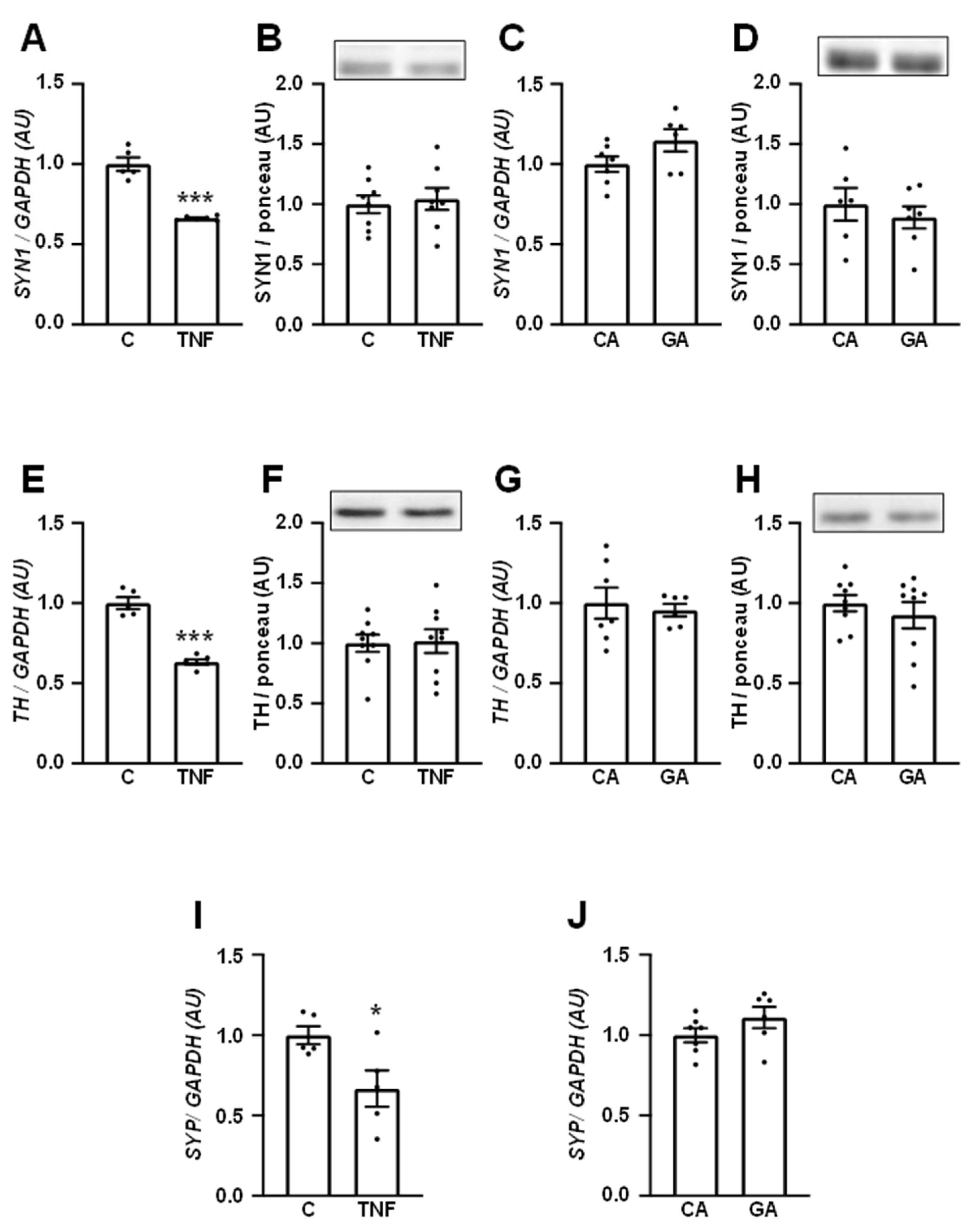 Cells 12 01250 g005 Cells 12 01250 g005