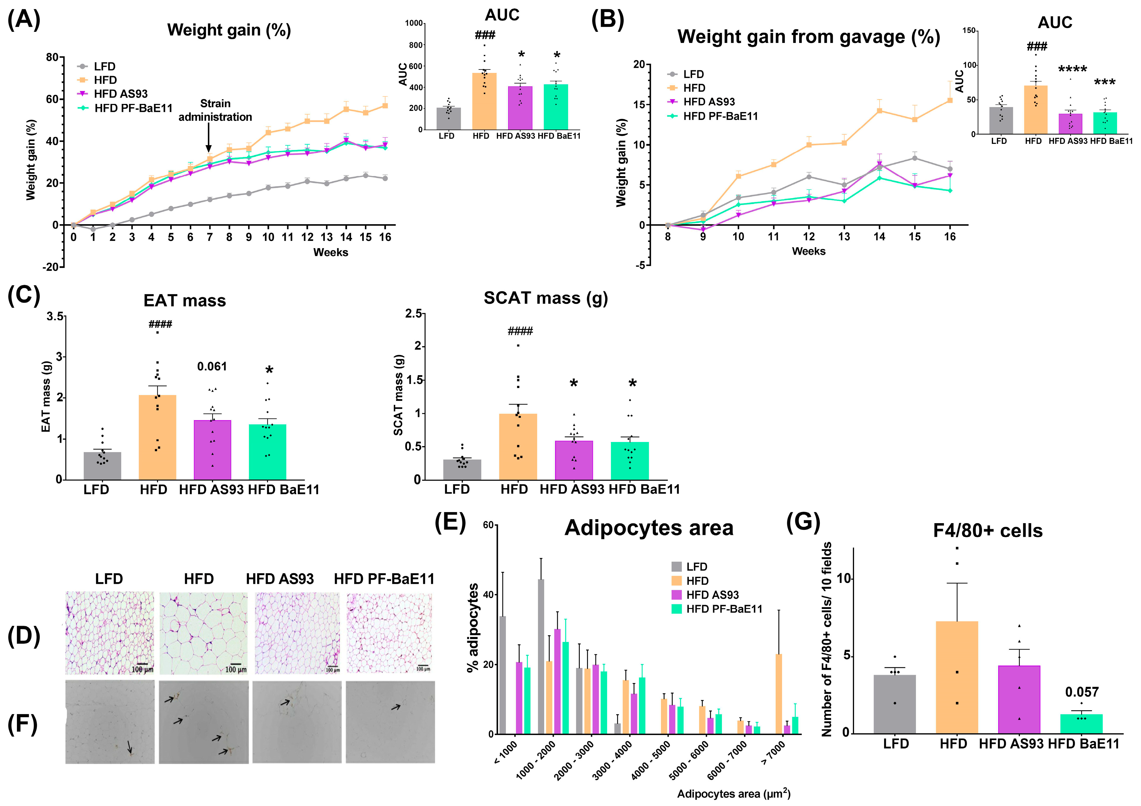 Cells 12 01260 g002 Cells 12 01260 g002