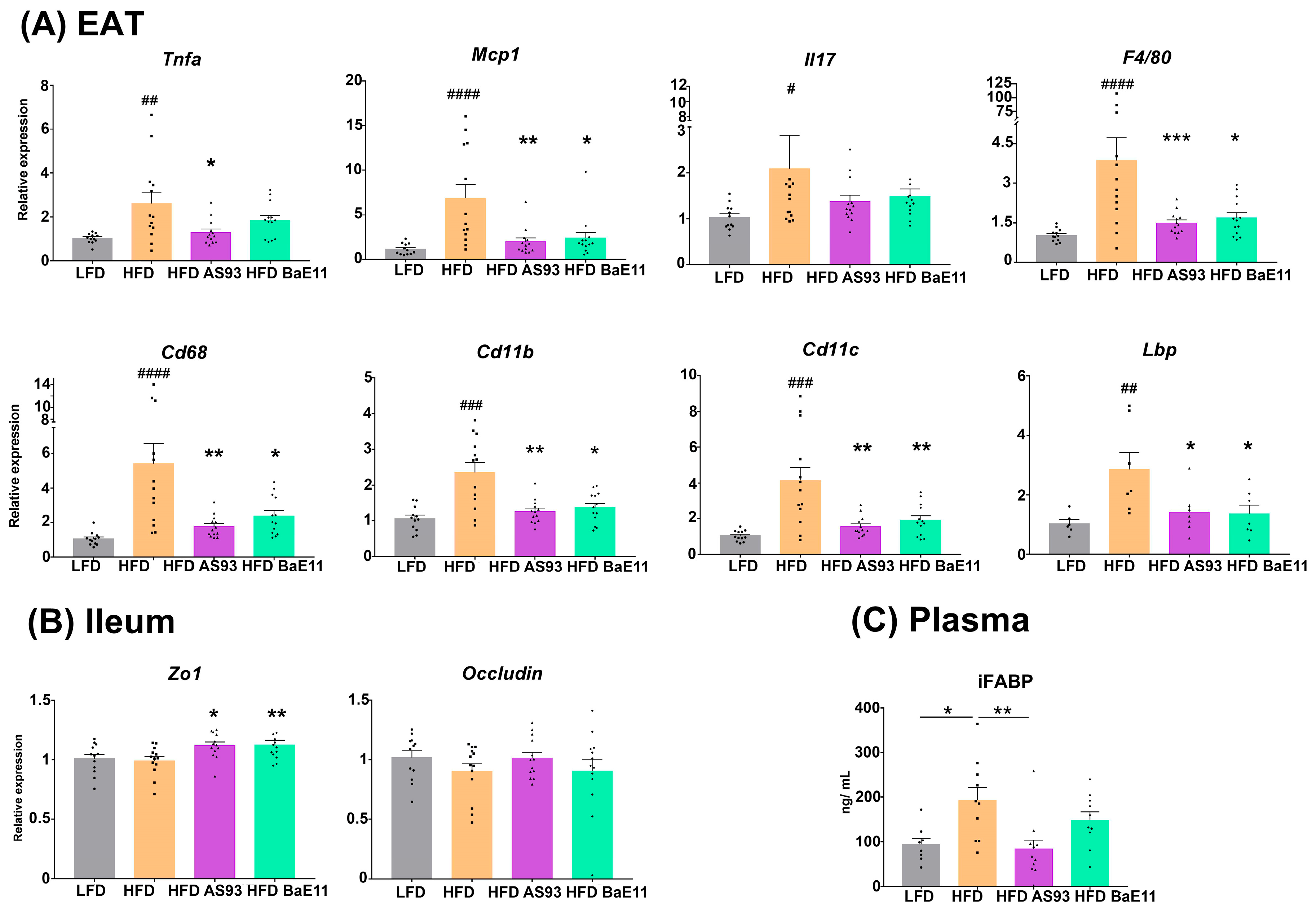 Cells 12 01260 g004 Cells 12 01260 g004