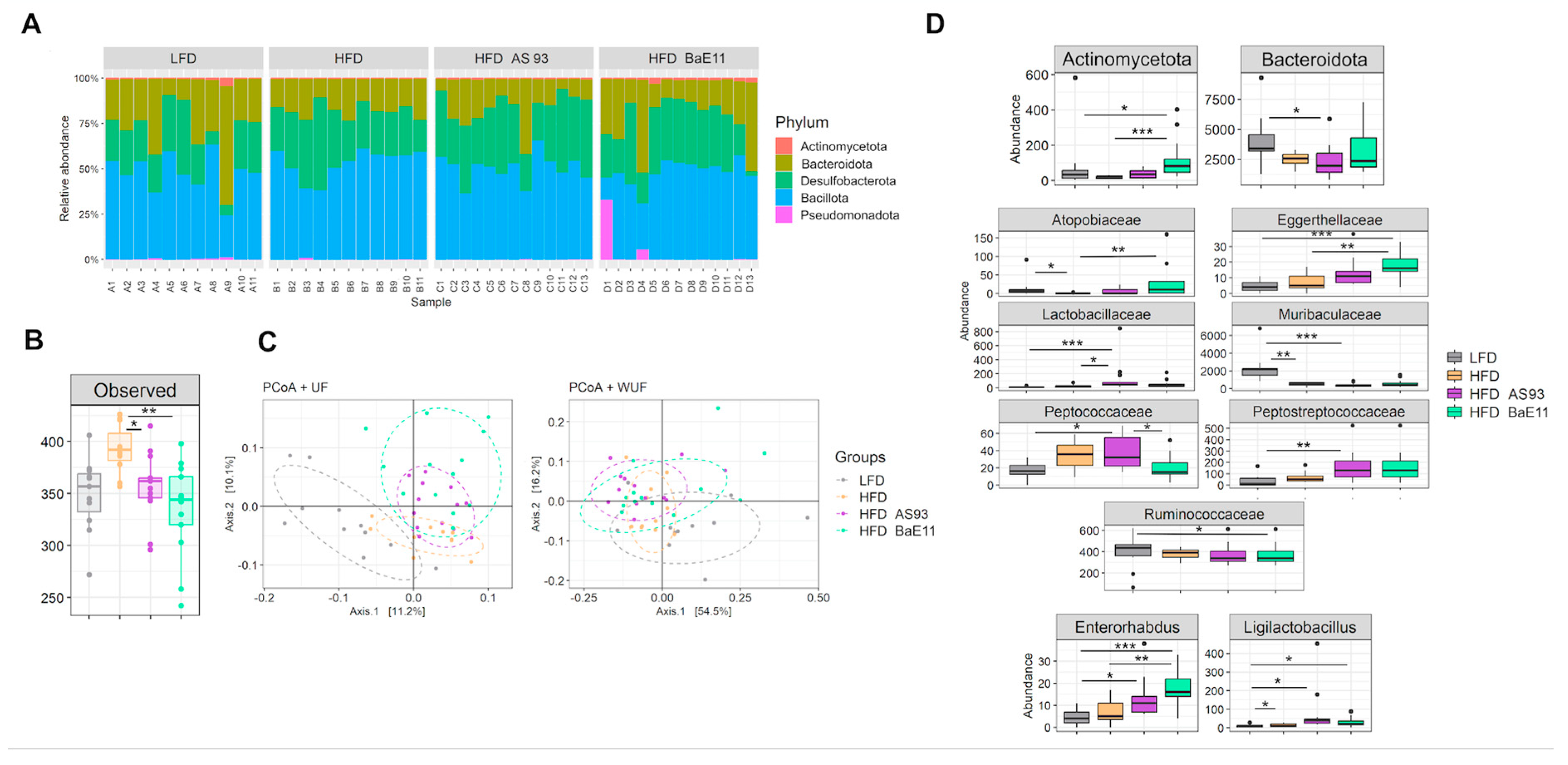 Cells 12 01260 g006 Cells 12 01260 g006