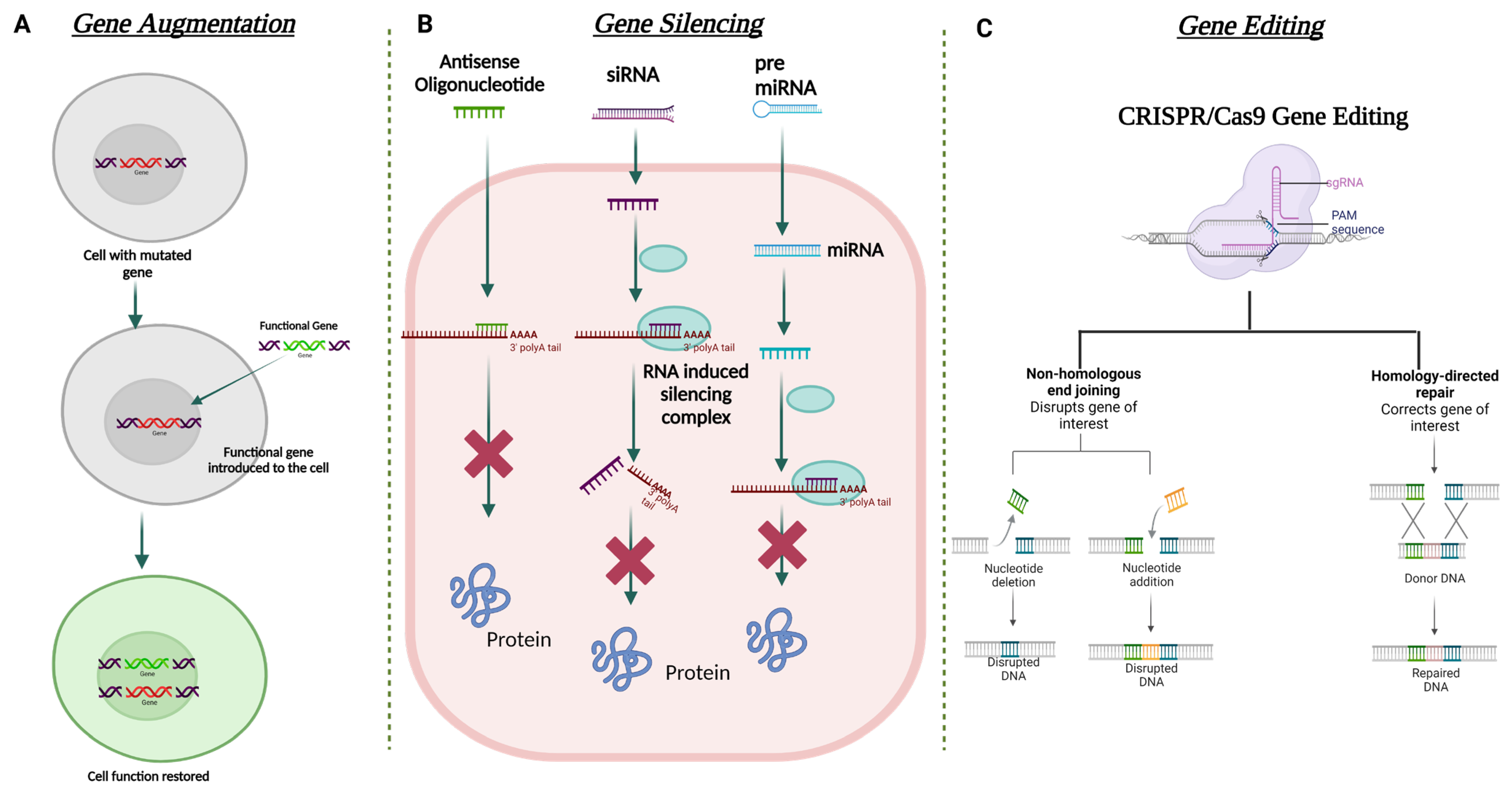 Cells 12 01280 g005 Cells 12 01280 g005