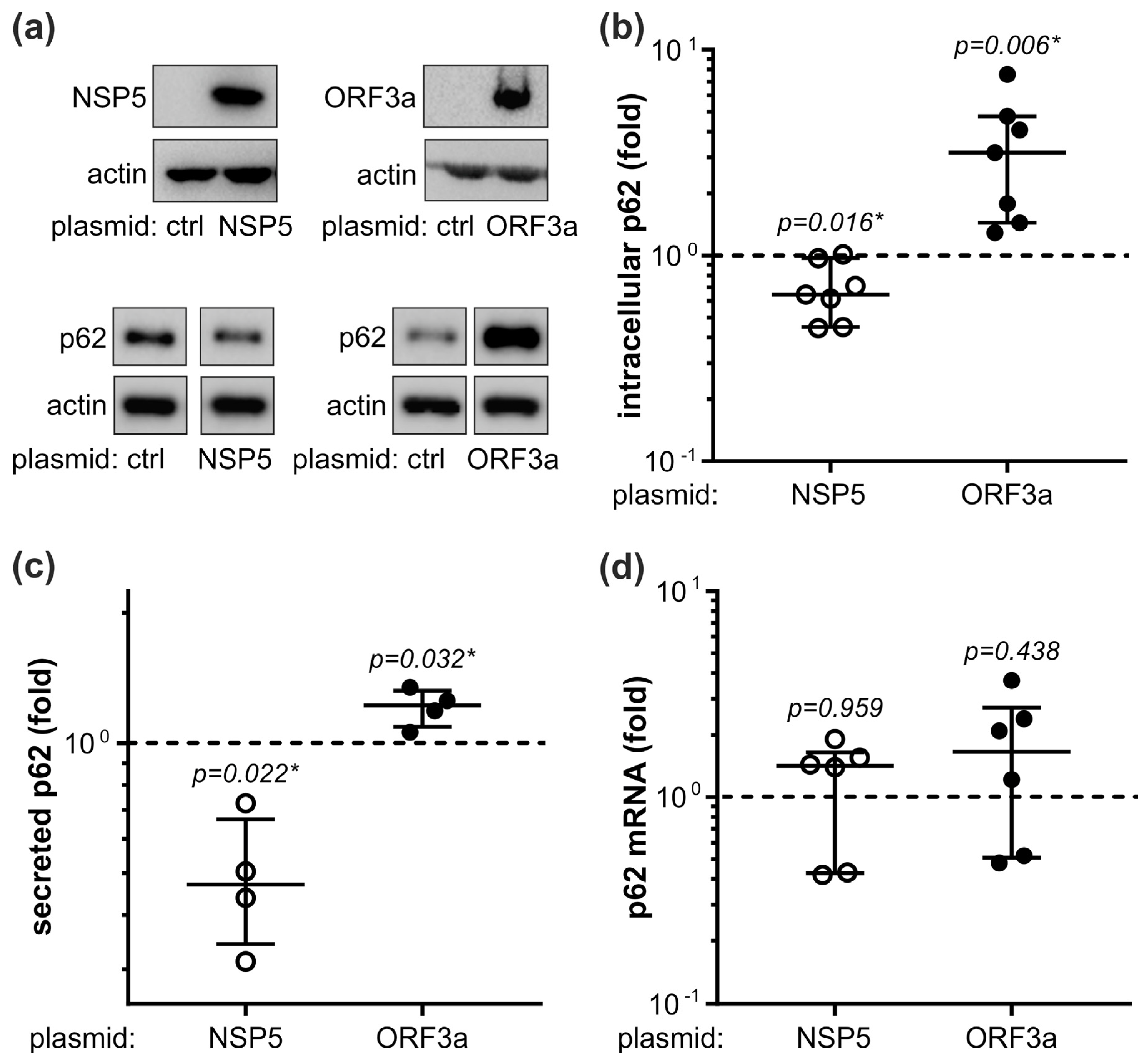 Cells 12 01282 g004 Cells 12 01282 g004