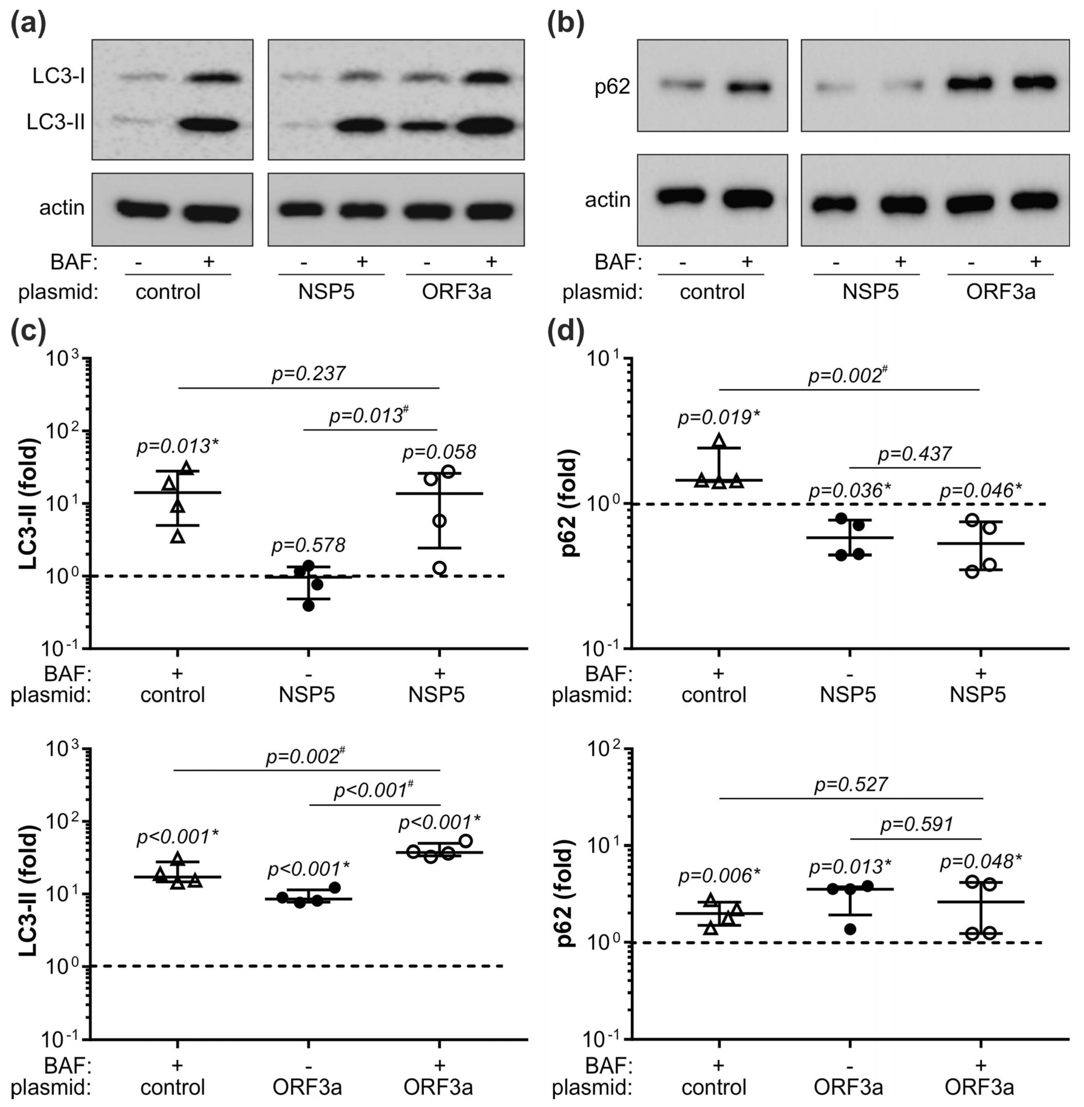 Cells 12 01282 g005 Cells 12 01282 g005
