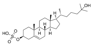 Cells 12 01292 i004 Cells 12 01292 i004