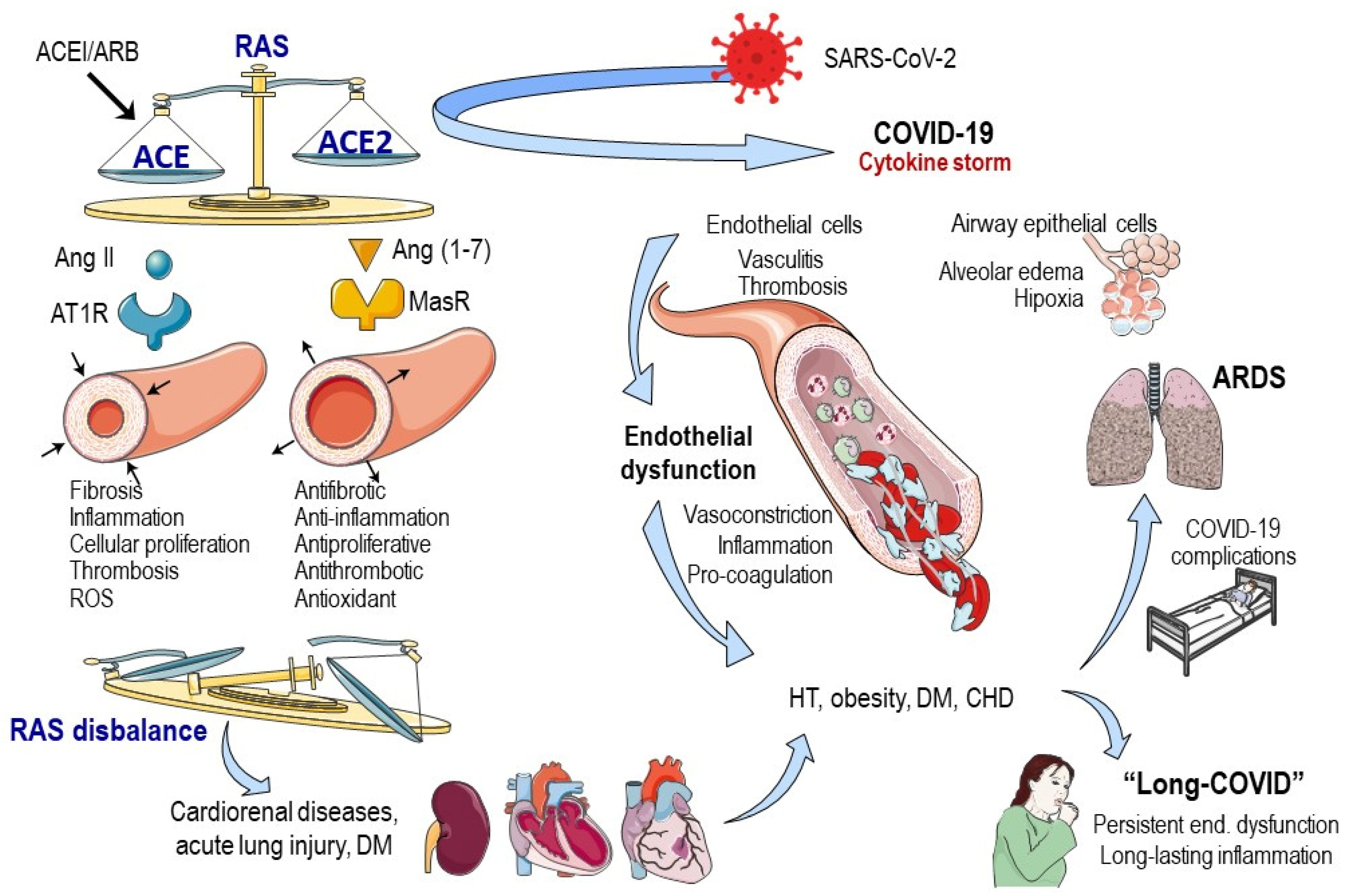 Cells 12 01297 g001 Cells 12 01297 g001
